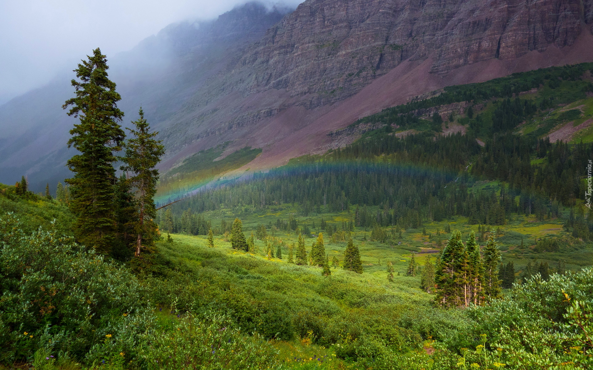 Góra, Maroon Bells, Wzgórza, Drzewa, Krzewy, Tęcza, Kolorado, Stany Zjednoczone