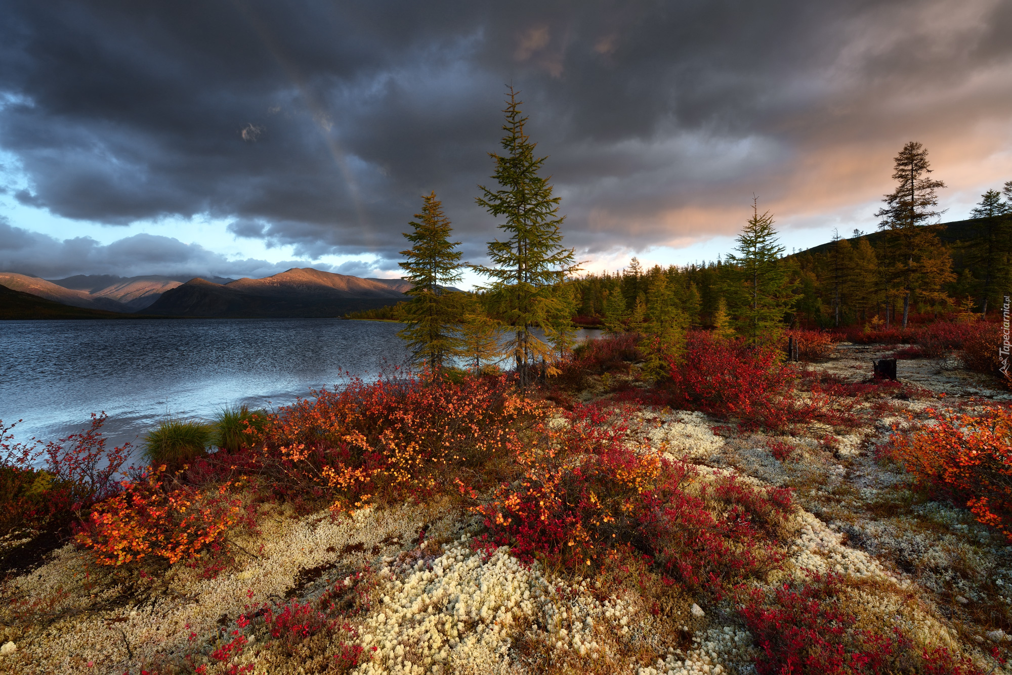 Jesień, Drzewa, Kolorowa, Roślinność, Góry, Jezioro Jack London, Tęcza, Kołyma, Magadan, Rosja