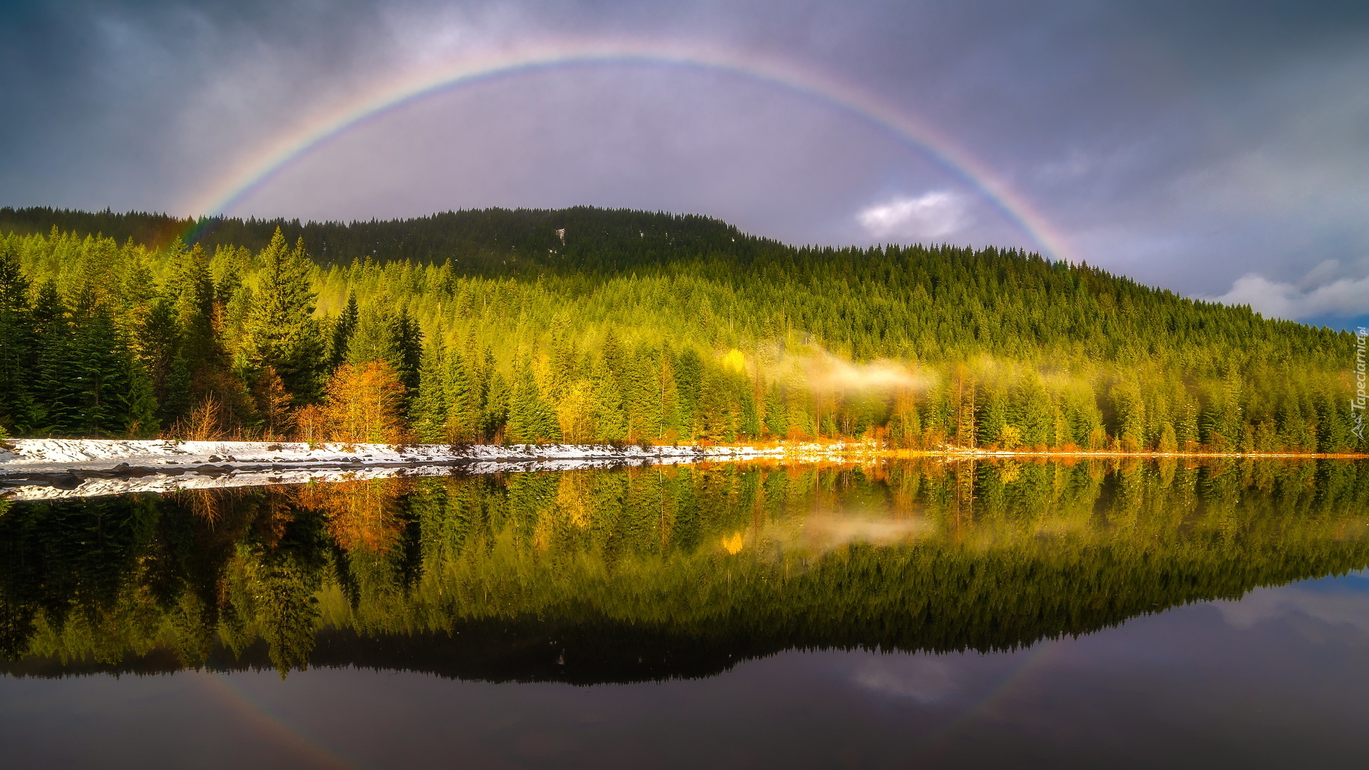 Jezioro, Trillium Lake, Drzewa, Lasy, Tęcza, Stan Oregon, Stany Zjednoczone