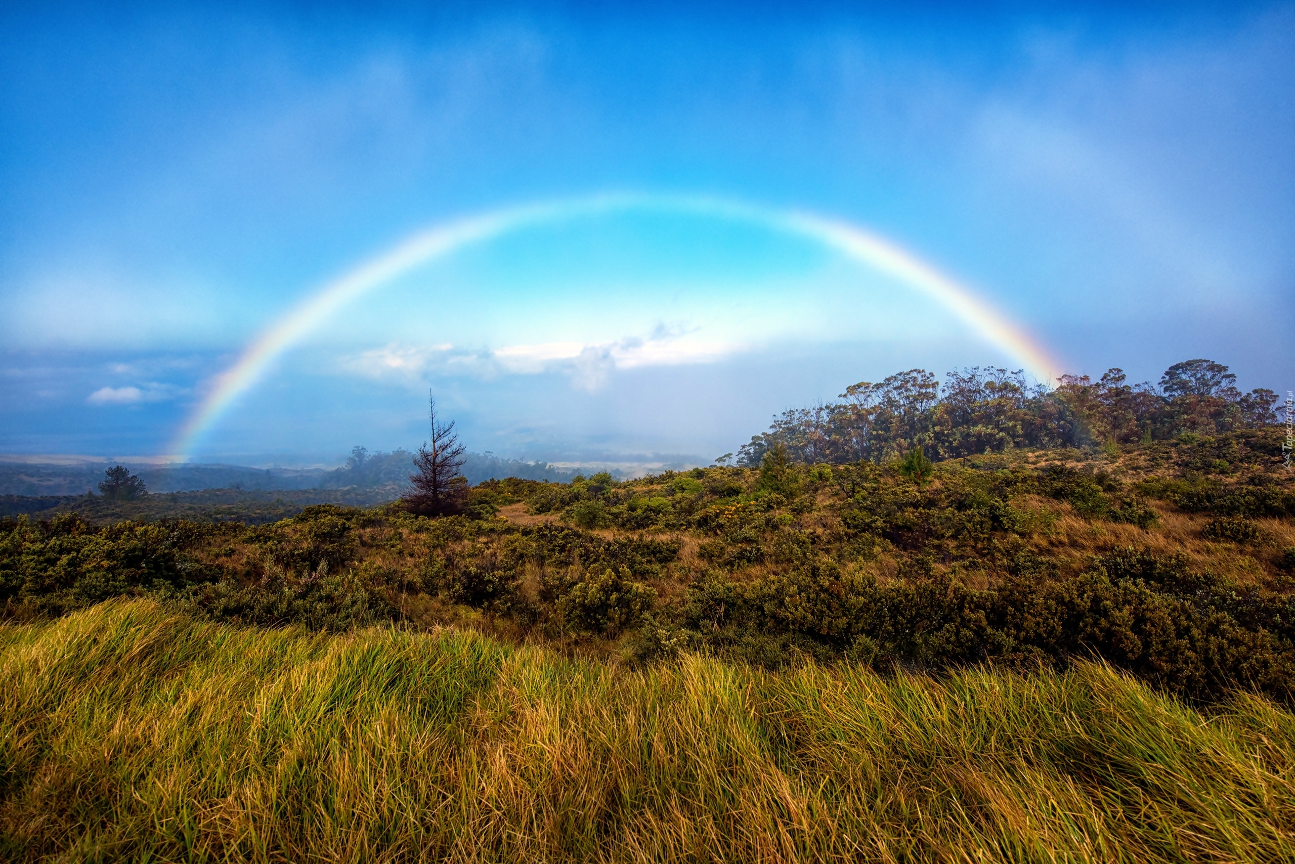 Hawaje, Wyspa Maui, Park Narodowy Haleakalā, Tęcza, Łąka