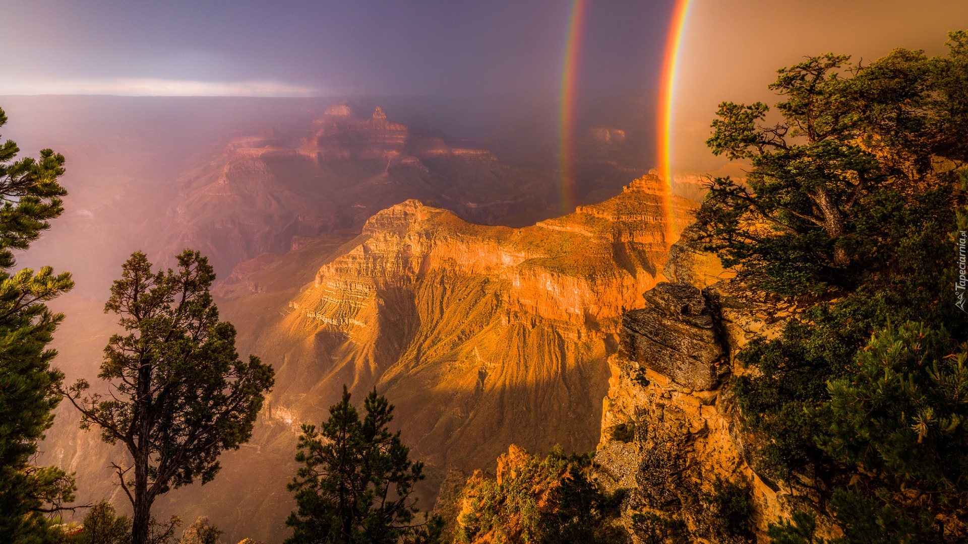 Stany Zjednoczone, Arizona, Park Narodowy, Wielki Kanion Kolorado, Tęcza, Drzewa