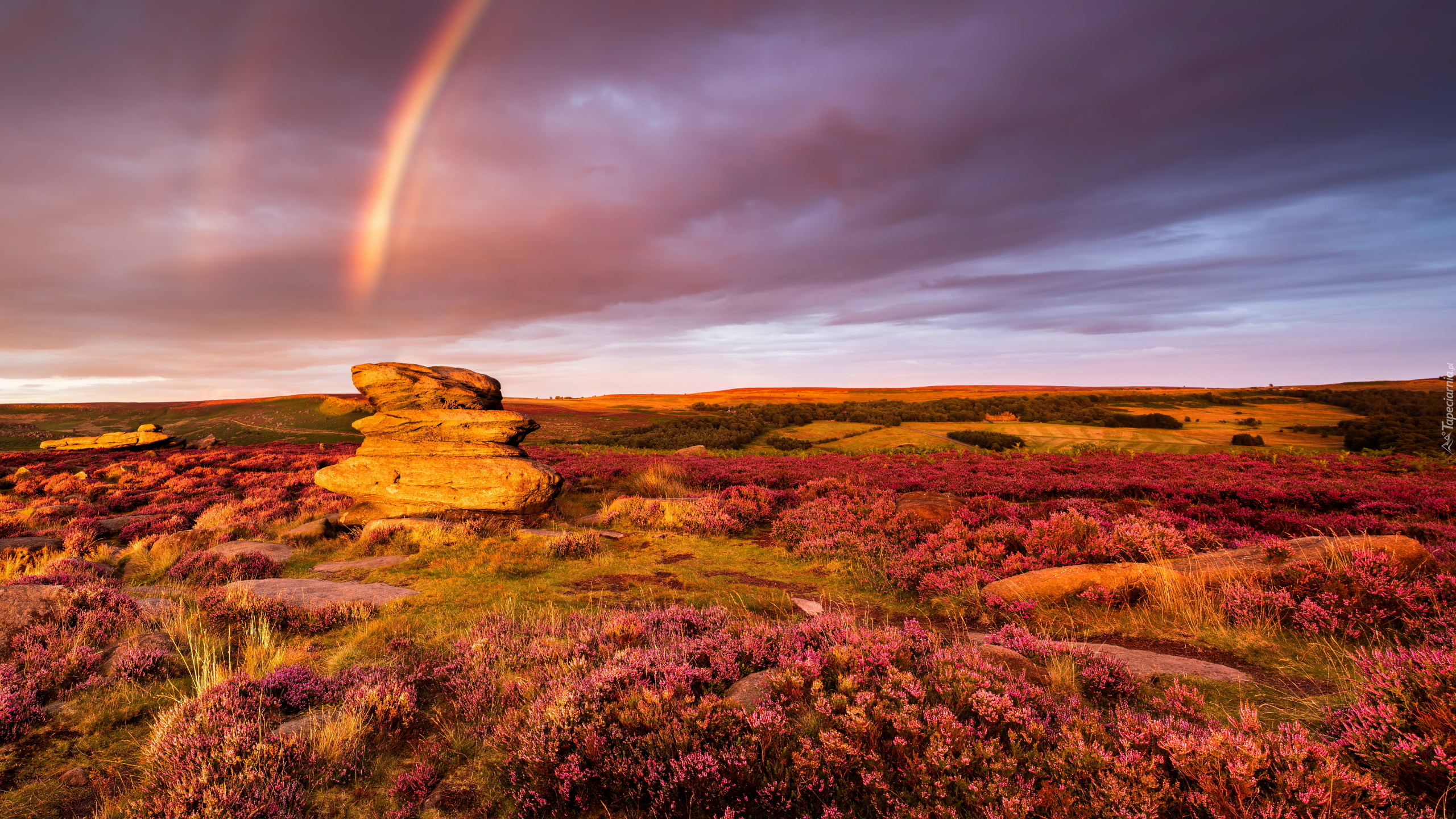 Wrzosowisko, Wzgórza, Skały, Zachód słońca, Tęcza, Park Narodowy Peak District, Hrabstwo Derbyshire, Anglia