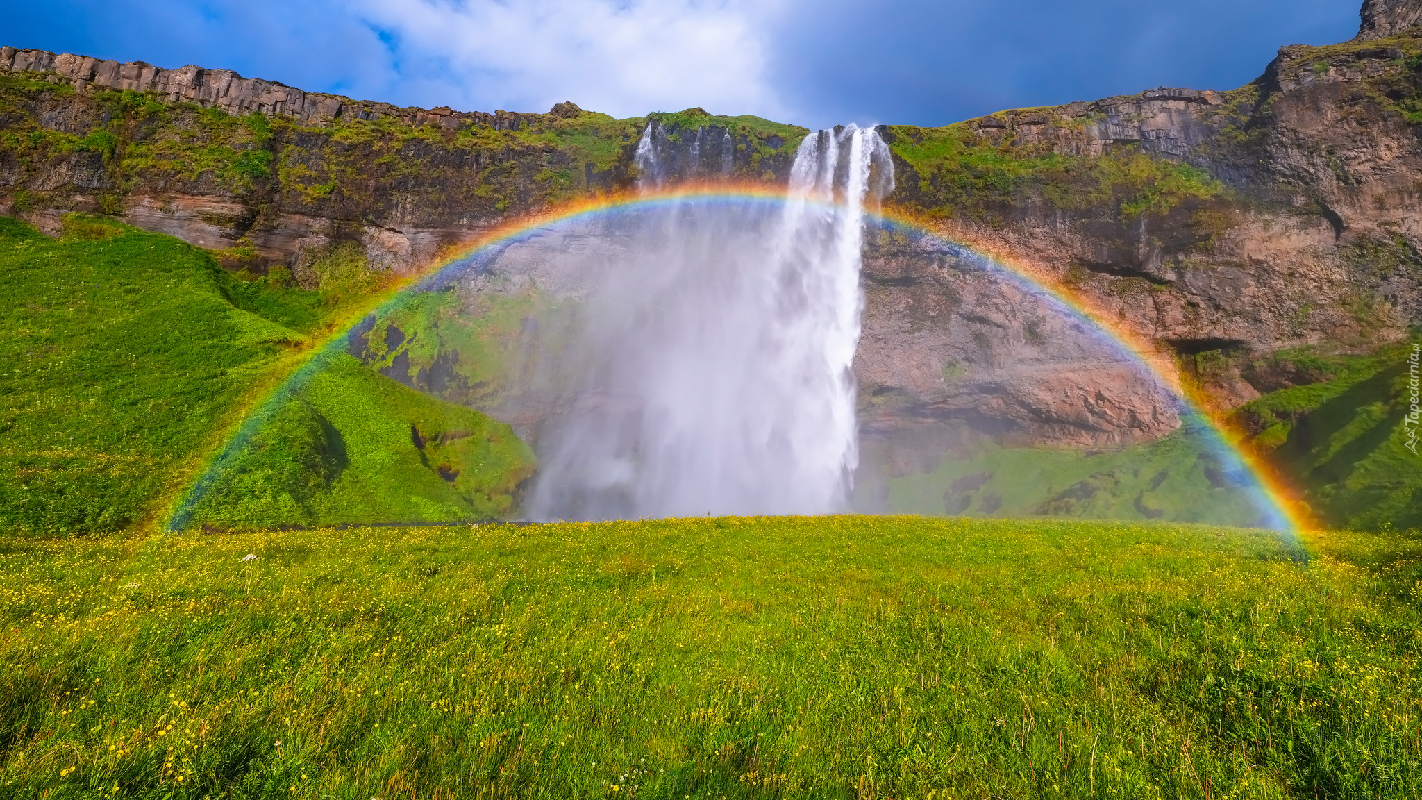 Wodospad, Seljalandsfoss, Trawa, Skały, Tęcza, Islandia