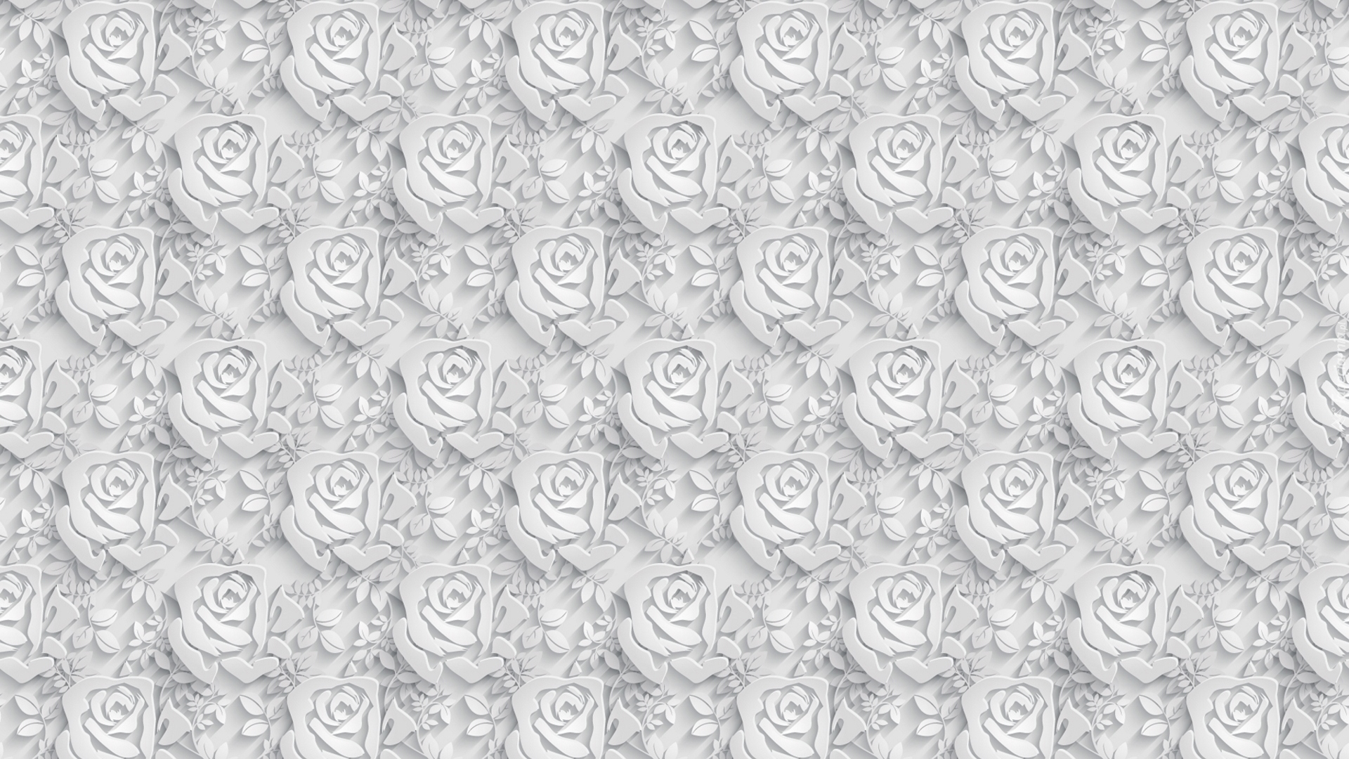 Biała, Tekstura, Róże