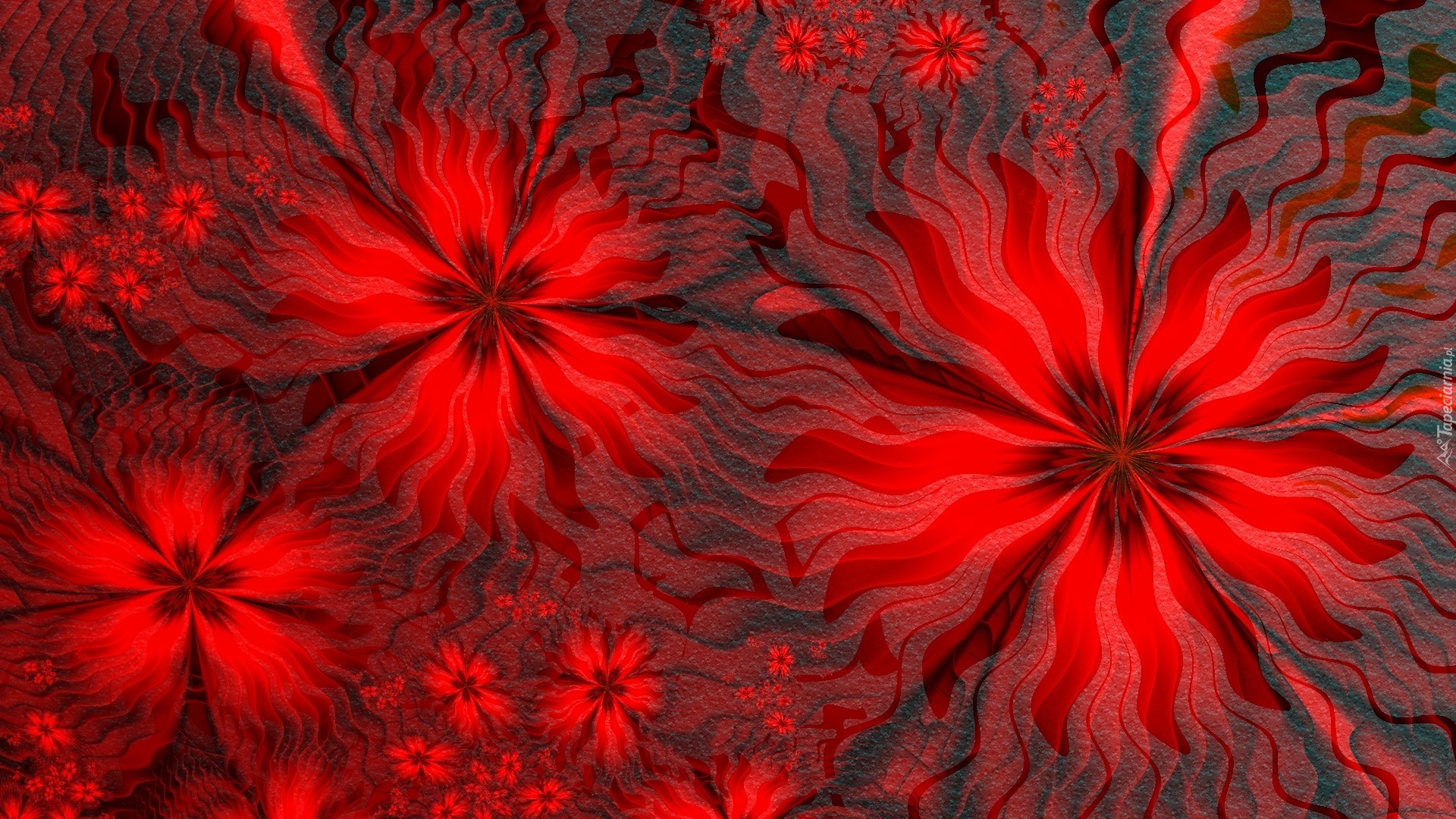 Tekstura, Czerwone, Kwiaty