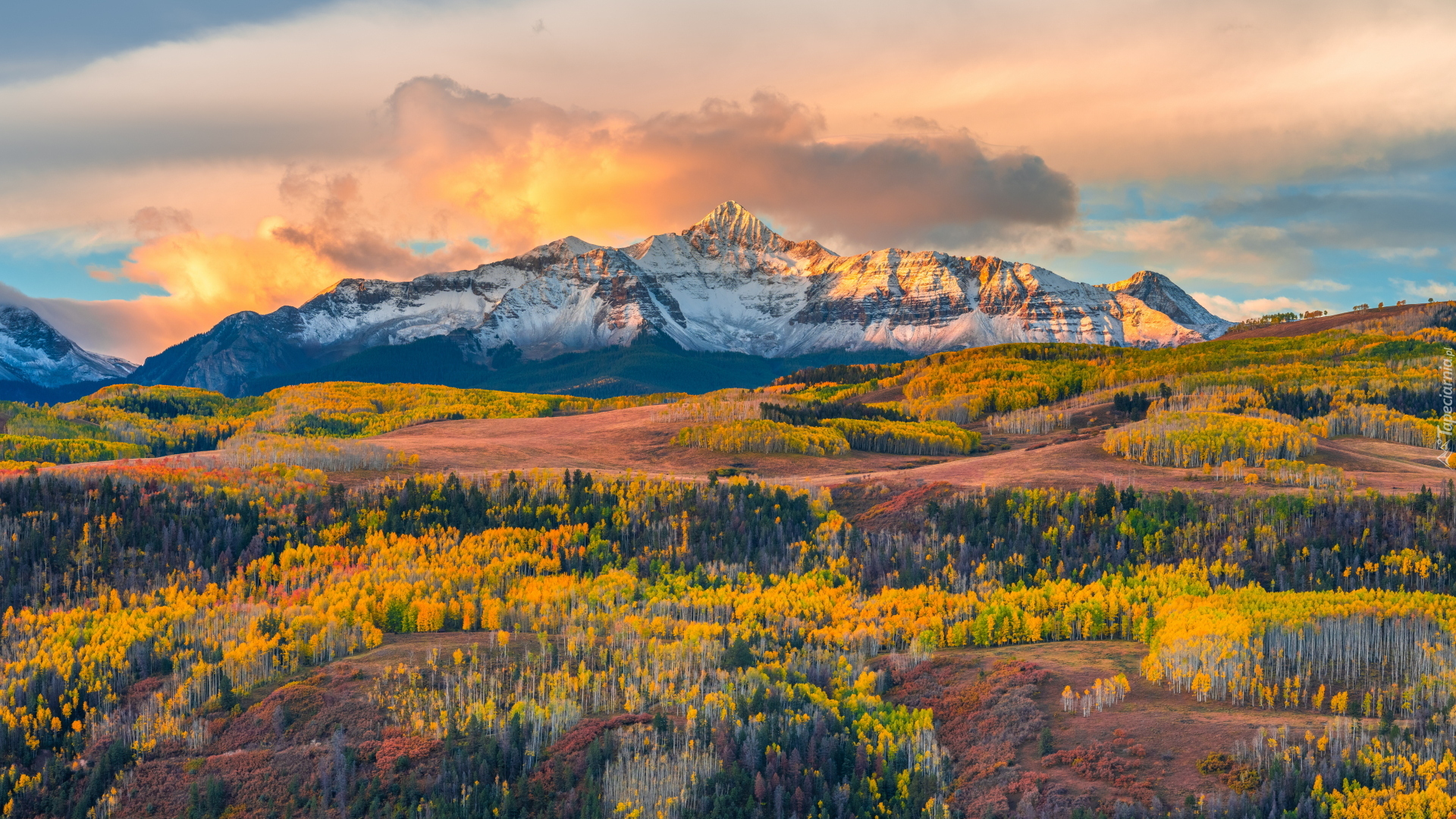 Telluride, Las, Jesień, Góry, San Juan Mountains, Pożółkłe, Drzewa, Kolorado, Stany Zjednoczone