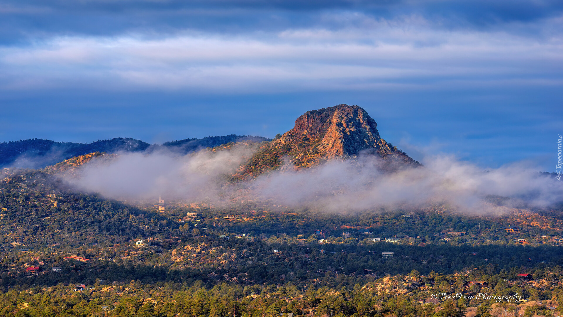 Stany Zjednoczone, Arizona, Prescott, Góra, Thumb Butte, Mgła, Drzewa