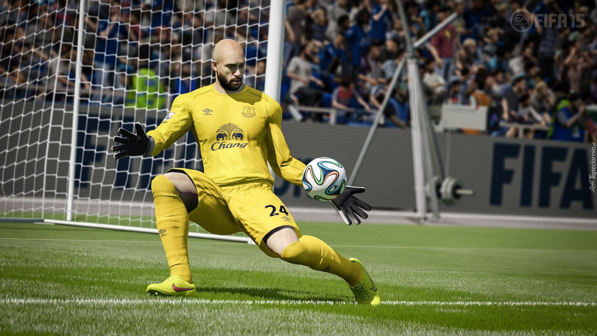 Gra, Fifa 15, Tim Howard