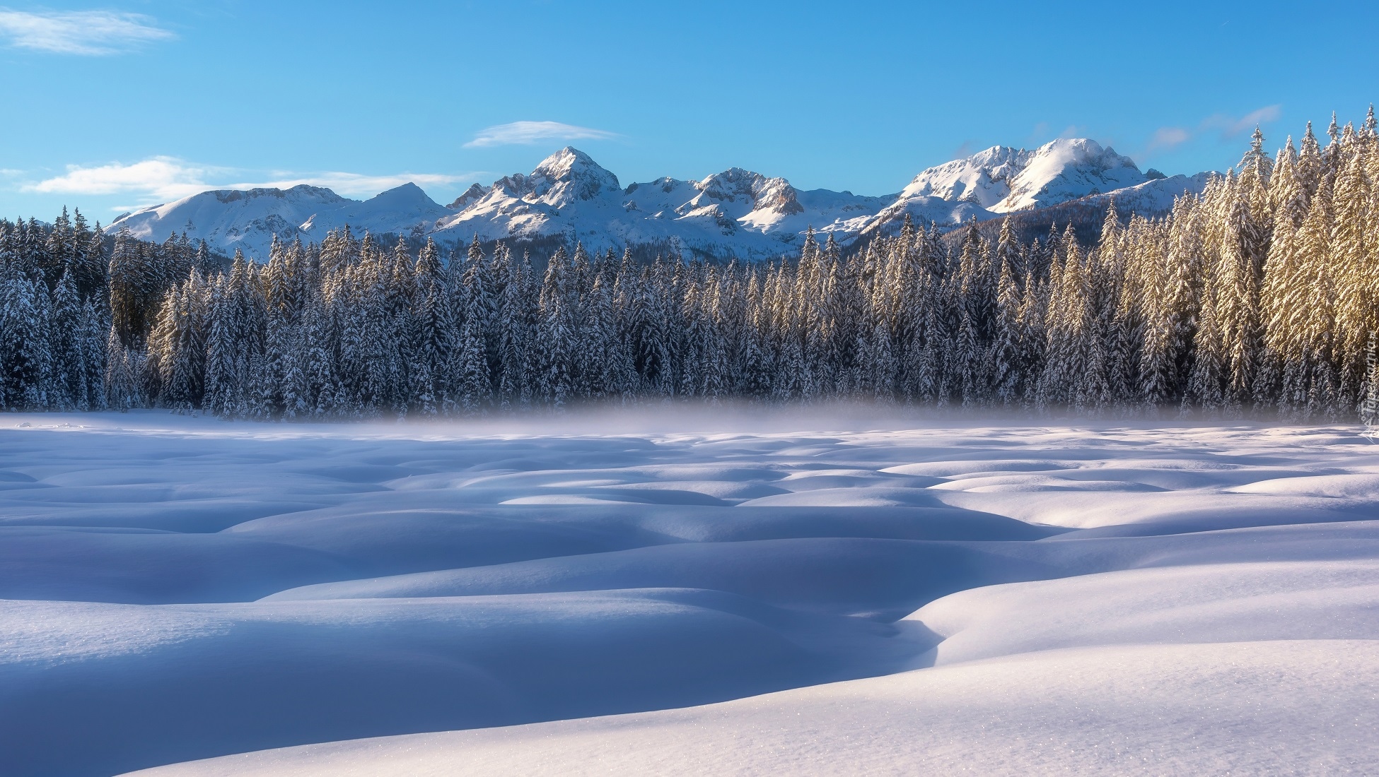 Słowenia, Triglavski Park Narodowy, Góry Alpy Julijskie, Płaskowyż Pokljuka, Torfowisko Barje Šijec, Zima, Drzewa, Las