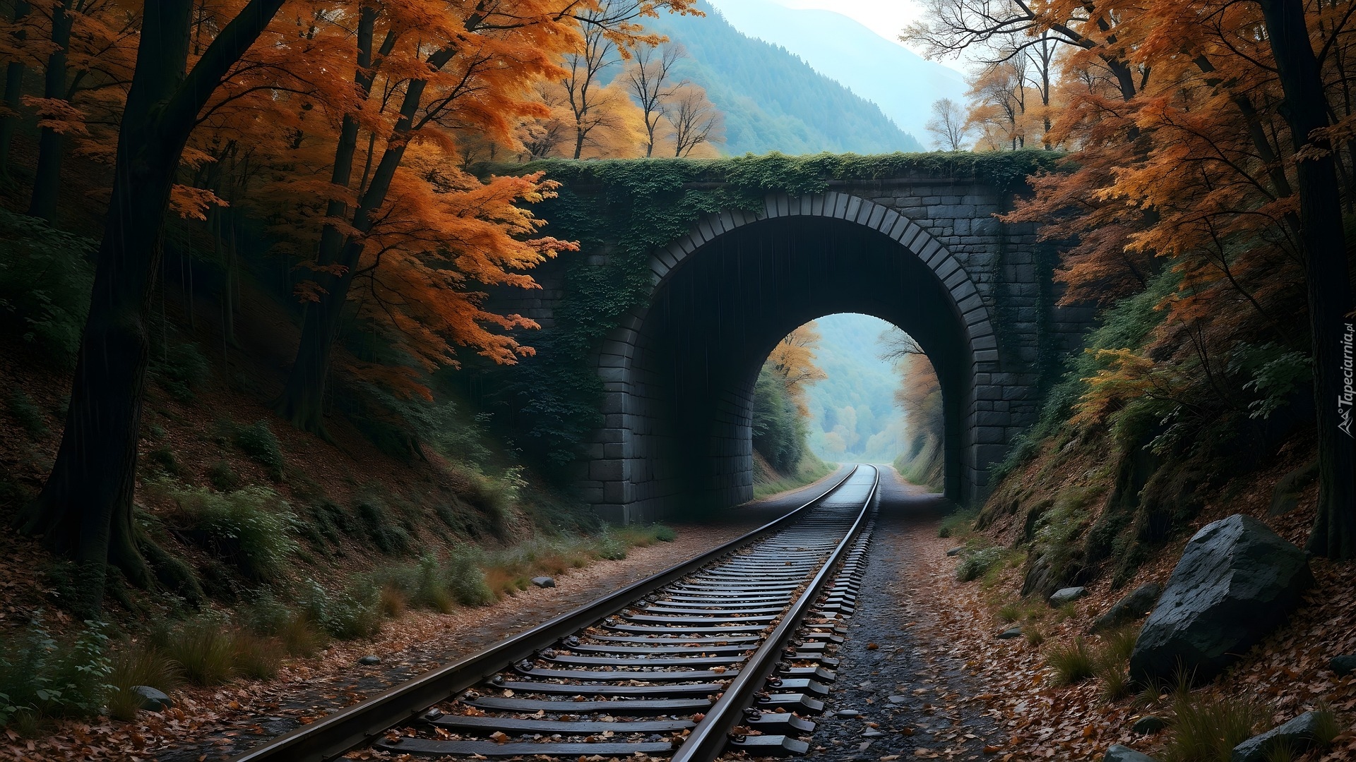 Most, Kamienny, Tory, Drzewa, Jesień, AI