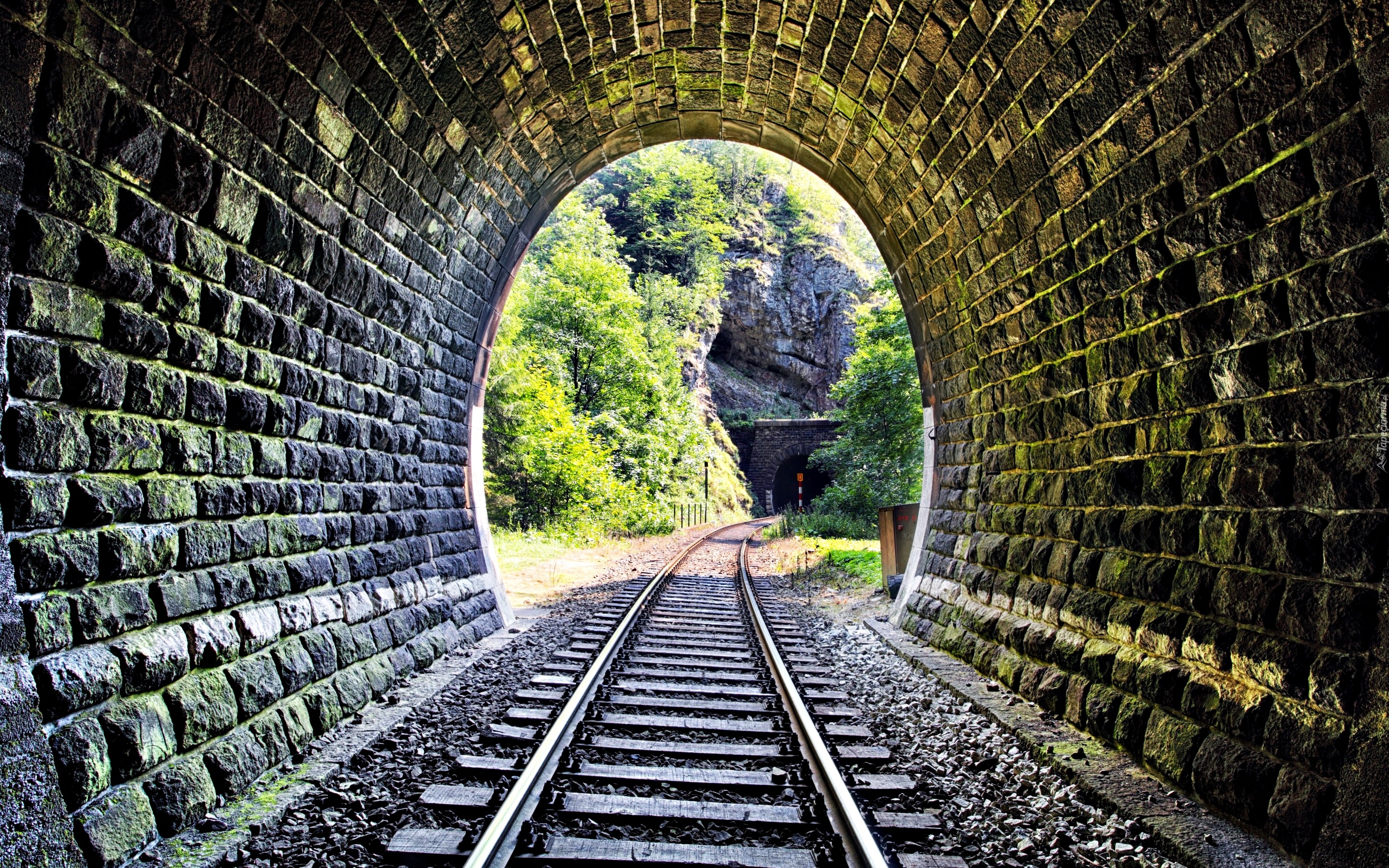 Tory kolejowe, Tunel, Skały, Drzewa