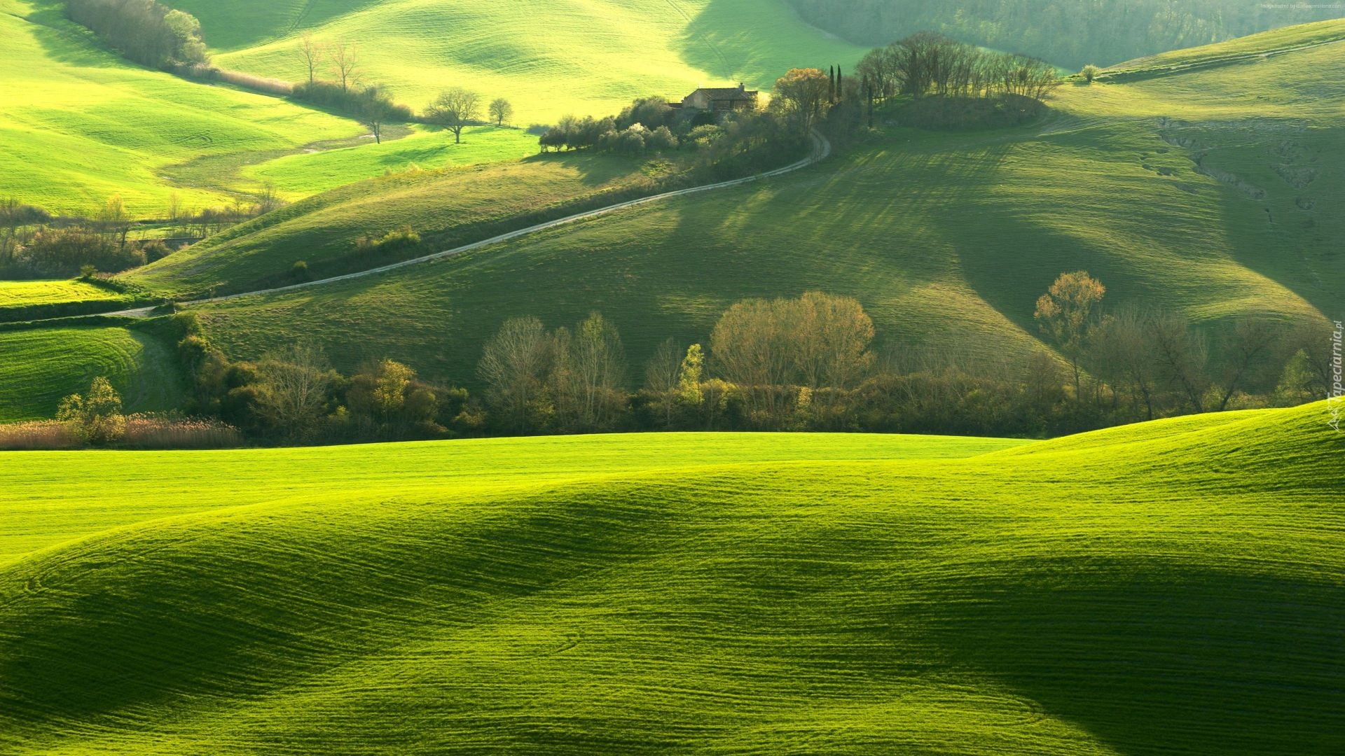 Toskania, Włochy, Wzgórza, Pola, Rozświetlone