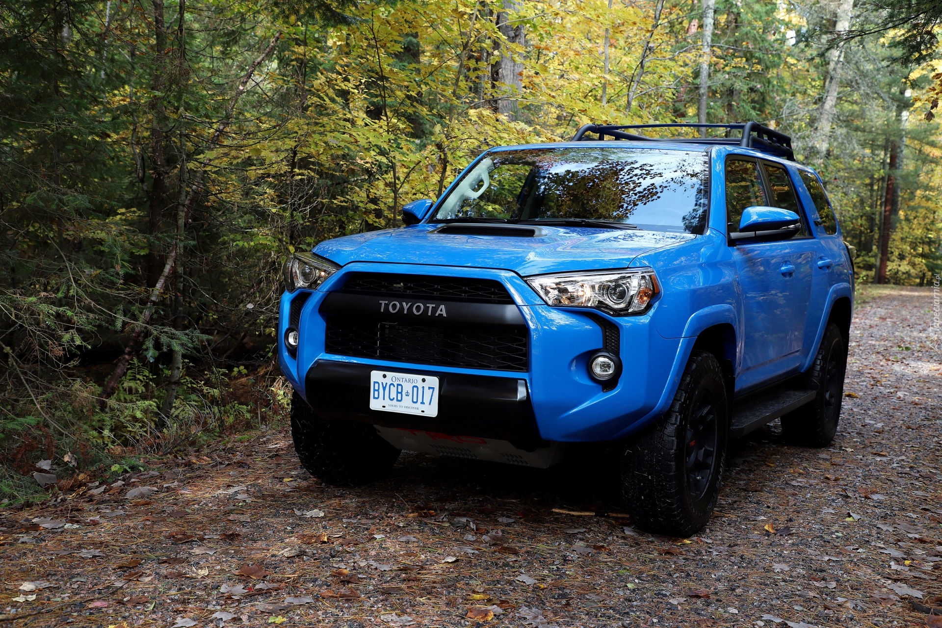 Toyota 4Runner TRD