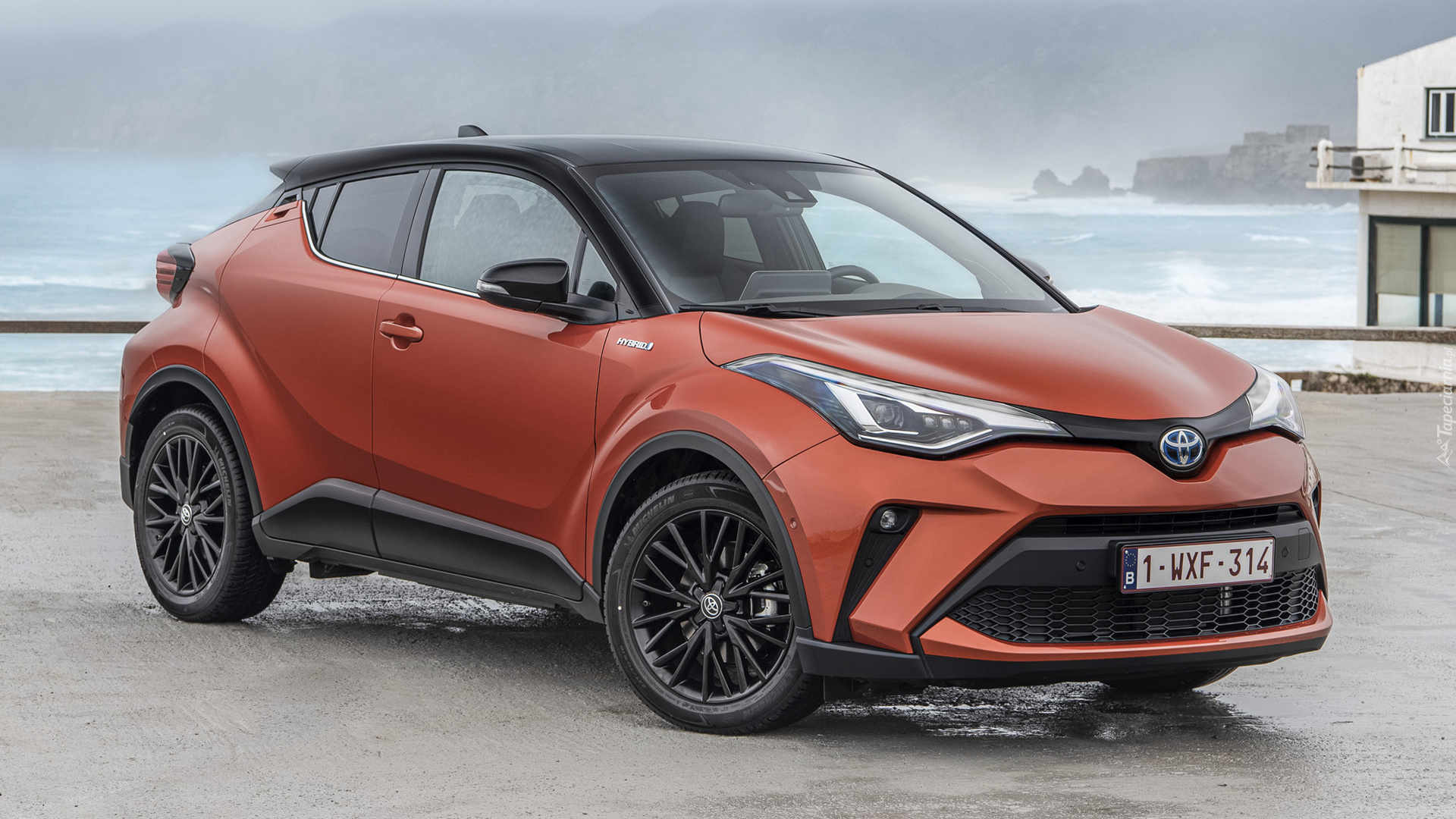 Toyota C-HR, Hybryda