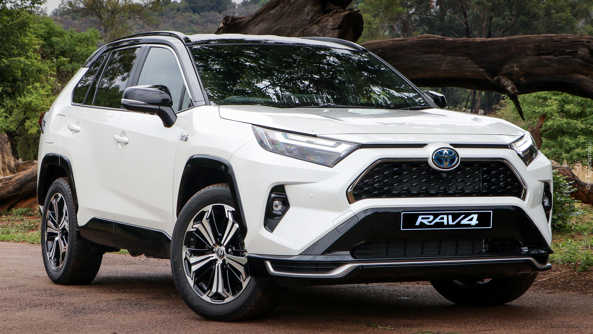 Toyota RAV4 Plug-in Hybrid