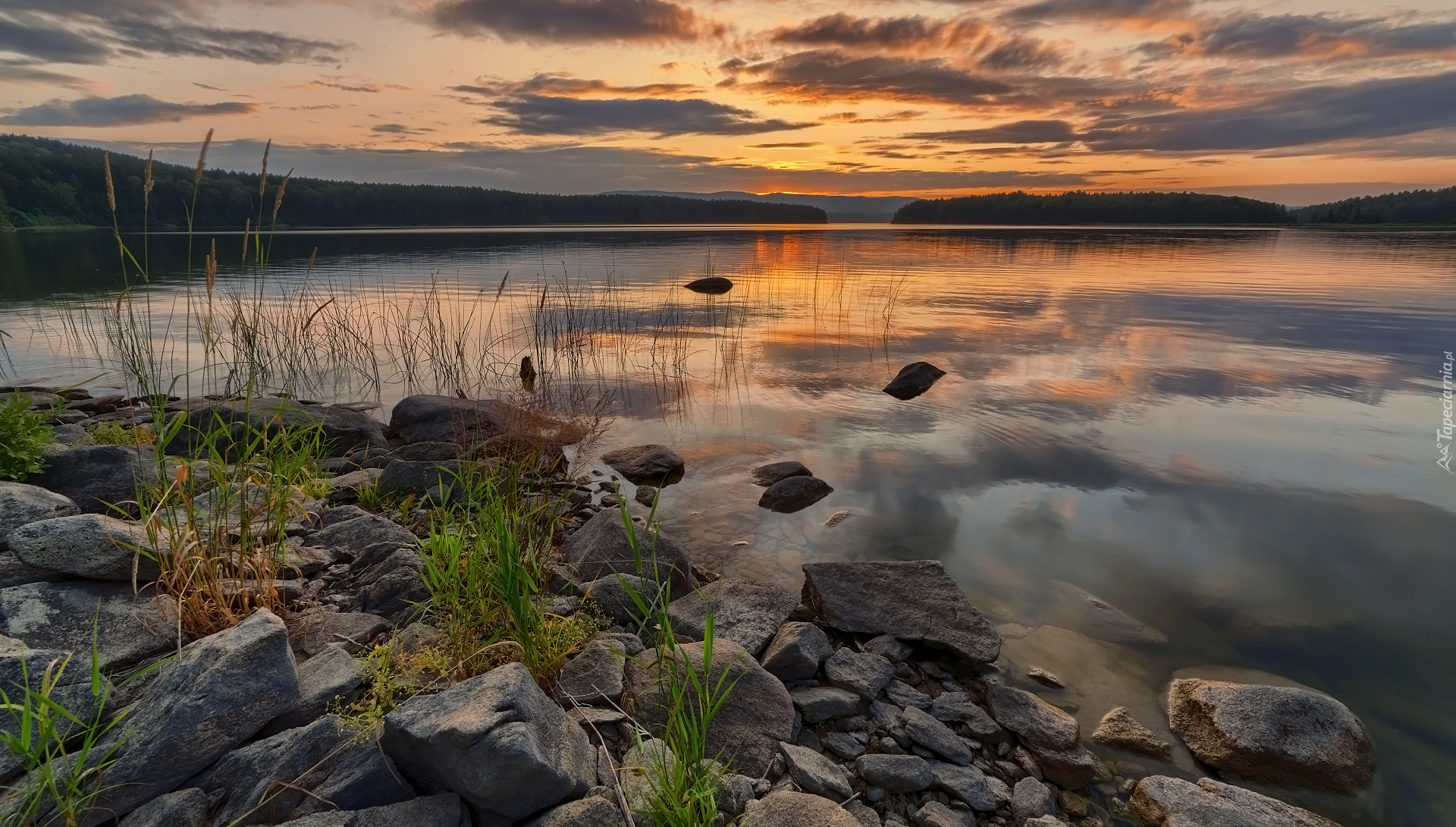 Jezioro, Kamienie, Trawa, Rośliny, Zachód słońca