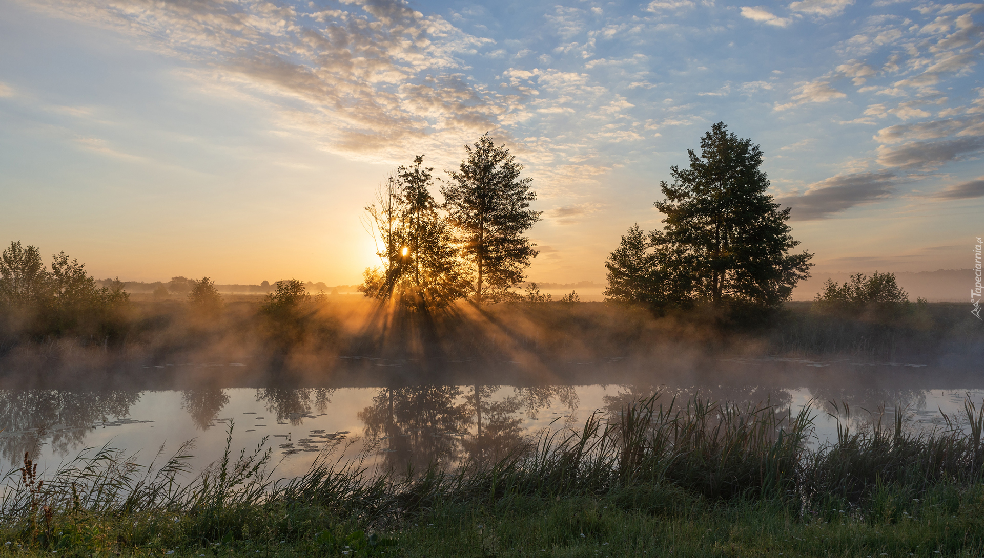 Rzeka, Drzewa, Przebijające światło