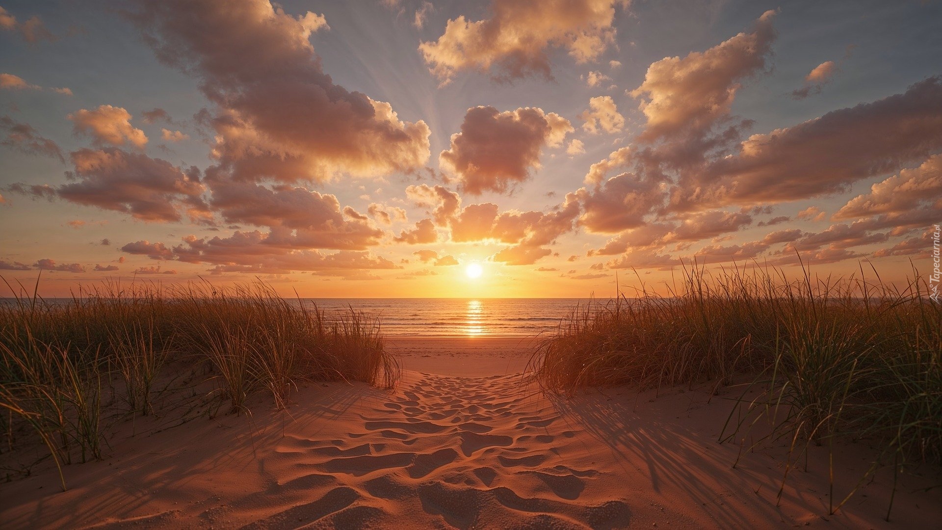Plaża, Zachód Słońca, Niebo, Chmury, Trawa, Plaża, Niebo