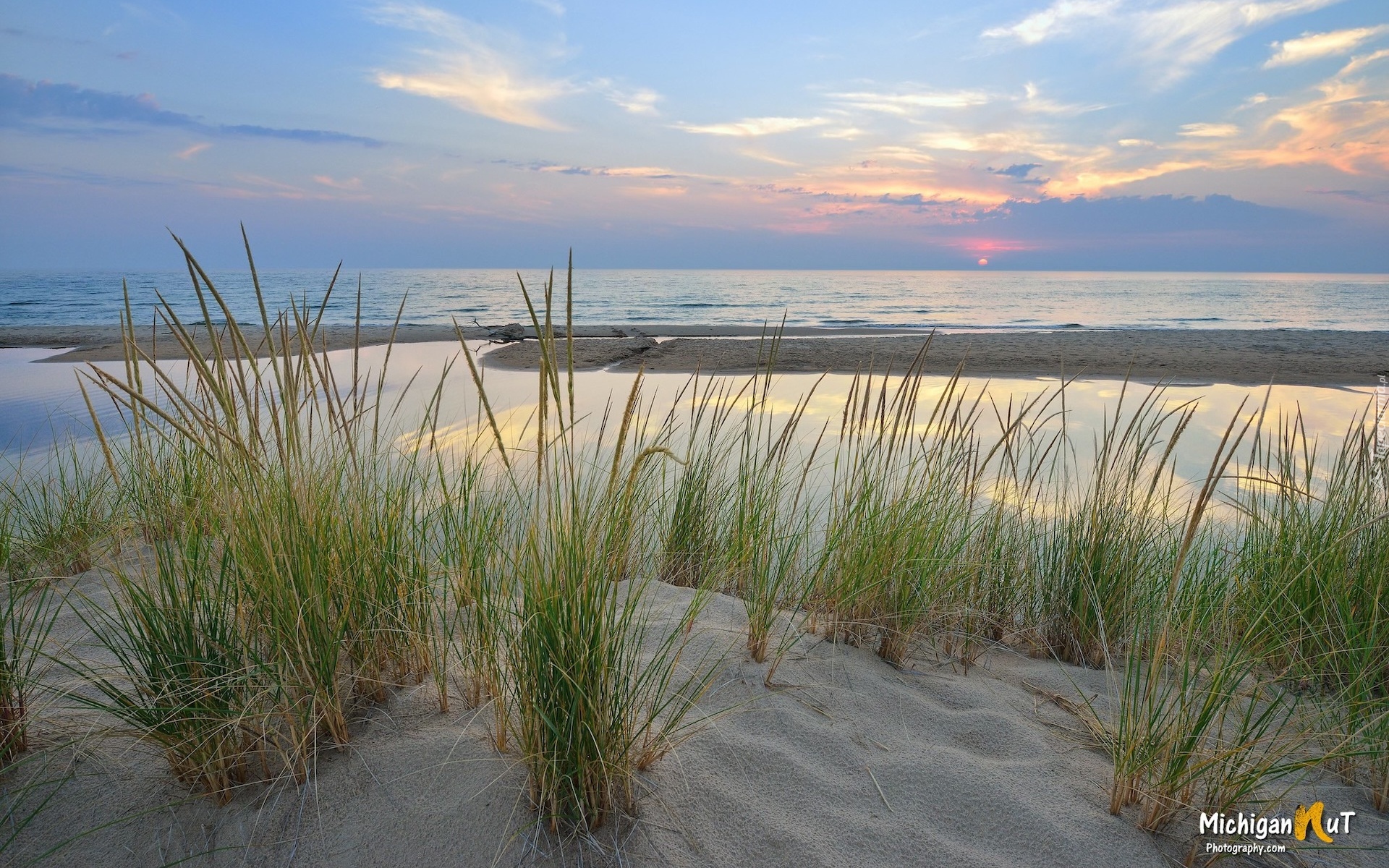 Stany Zjednoczone, Michigan, Jezioro, Lake Michigan, Szuwary, Trawy, Piasek