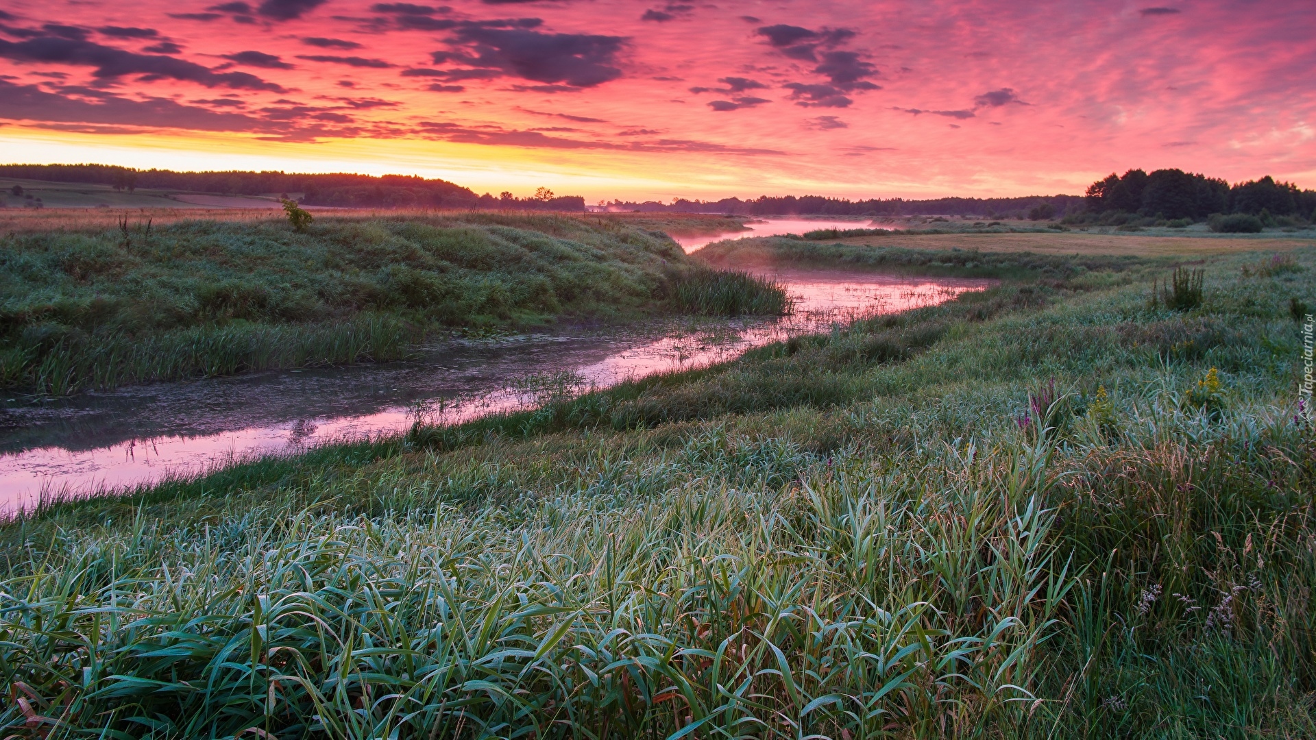 Rzeka, Trawa, Mgła, Wschód słońca, Chmury