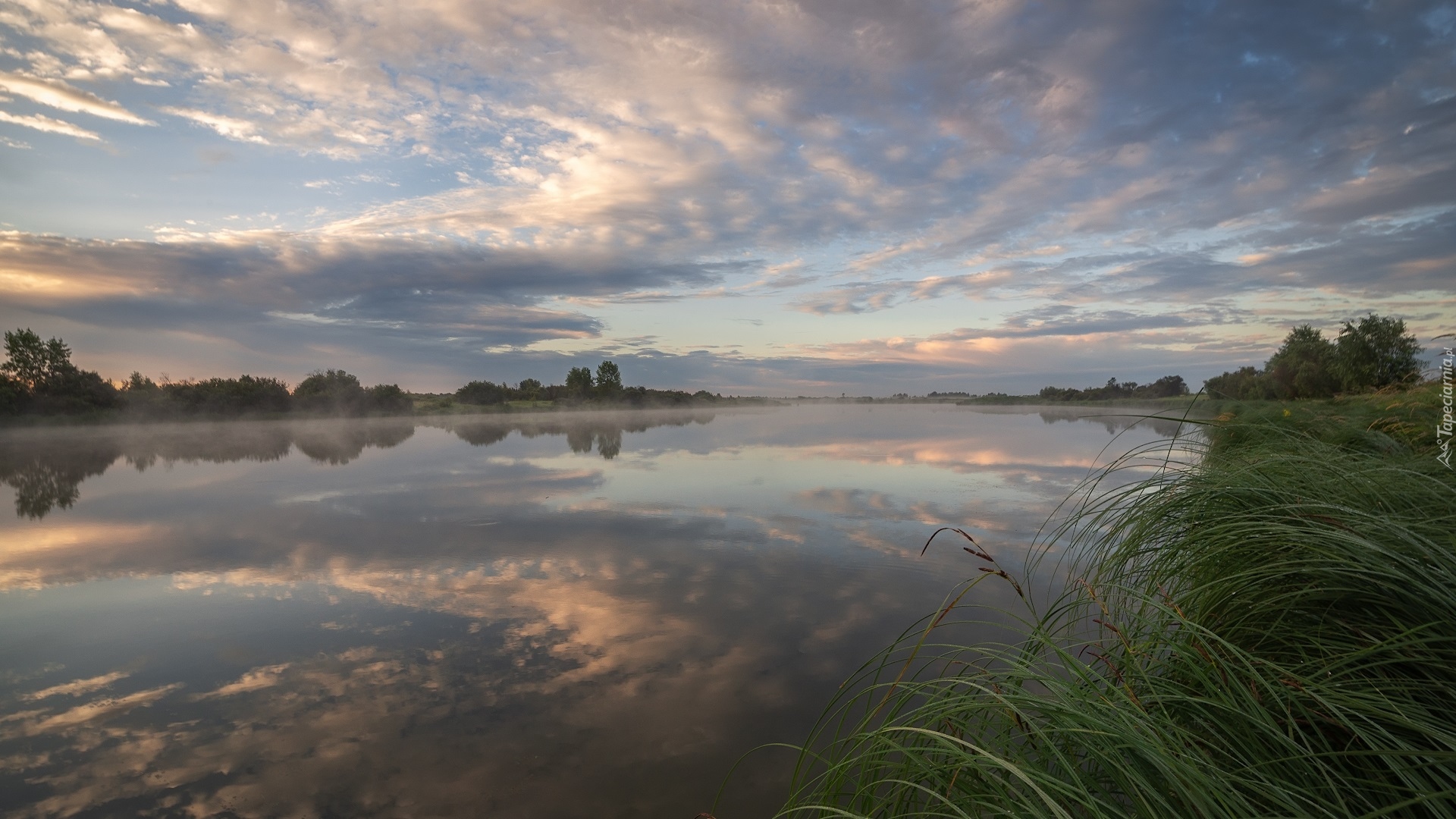 Rzeka, Mgła, Trawa, Drzewa, Chmury