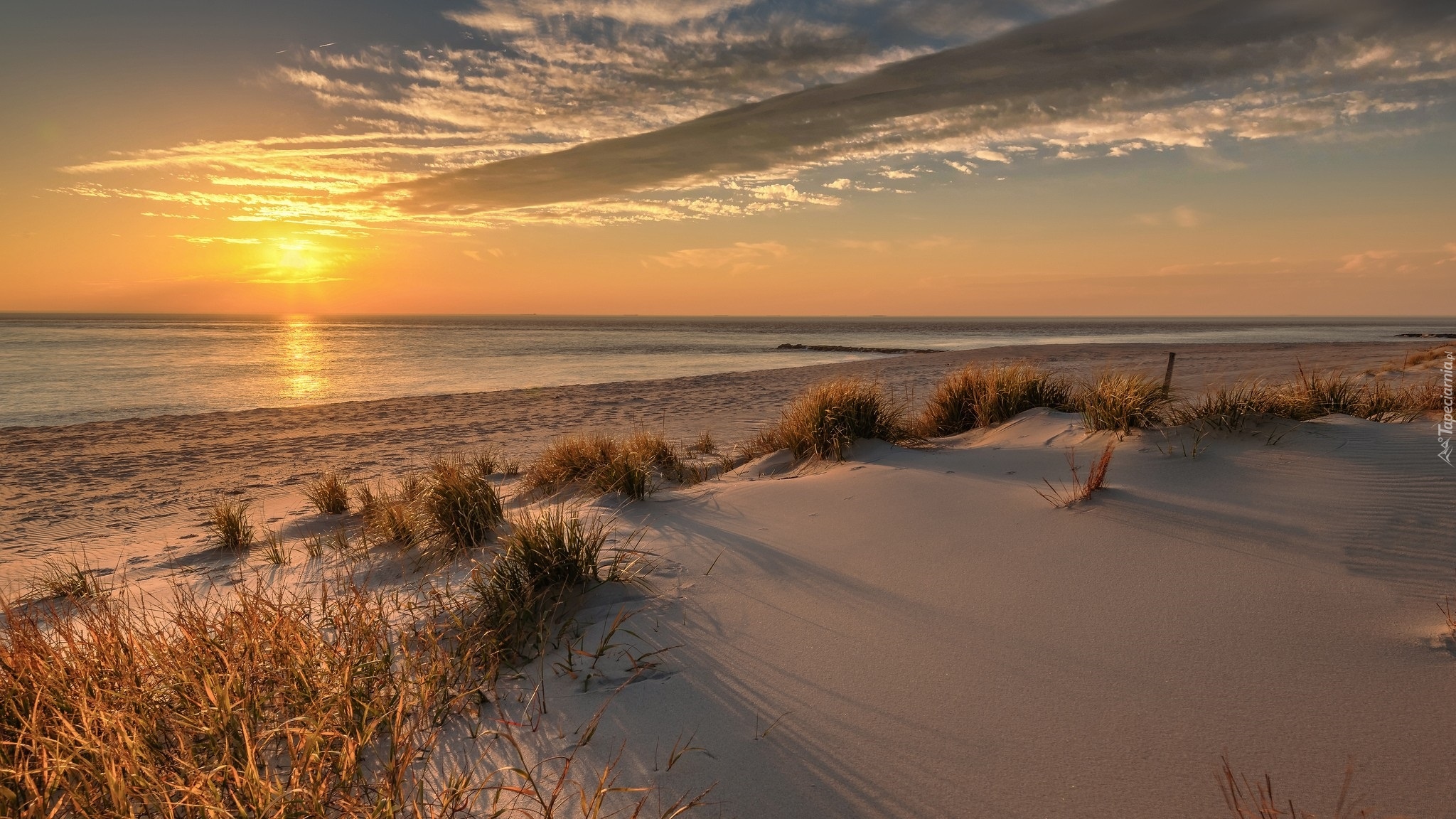 Morze, Plaża, Zachód słońca, Trawy