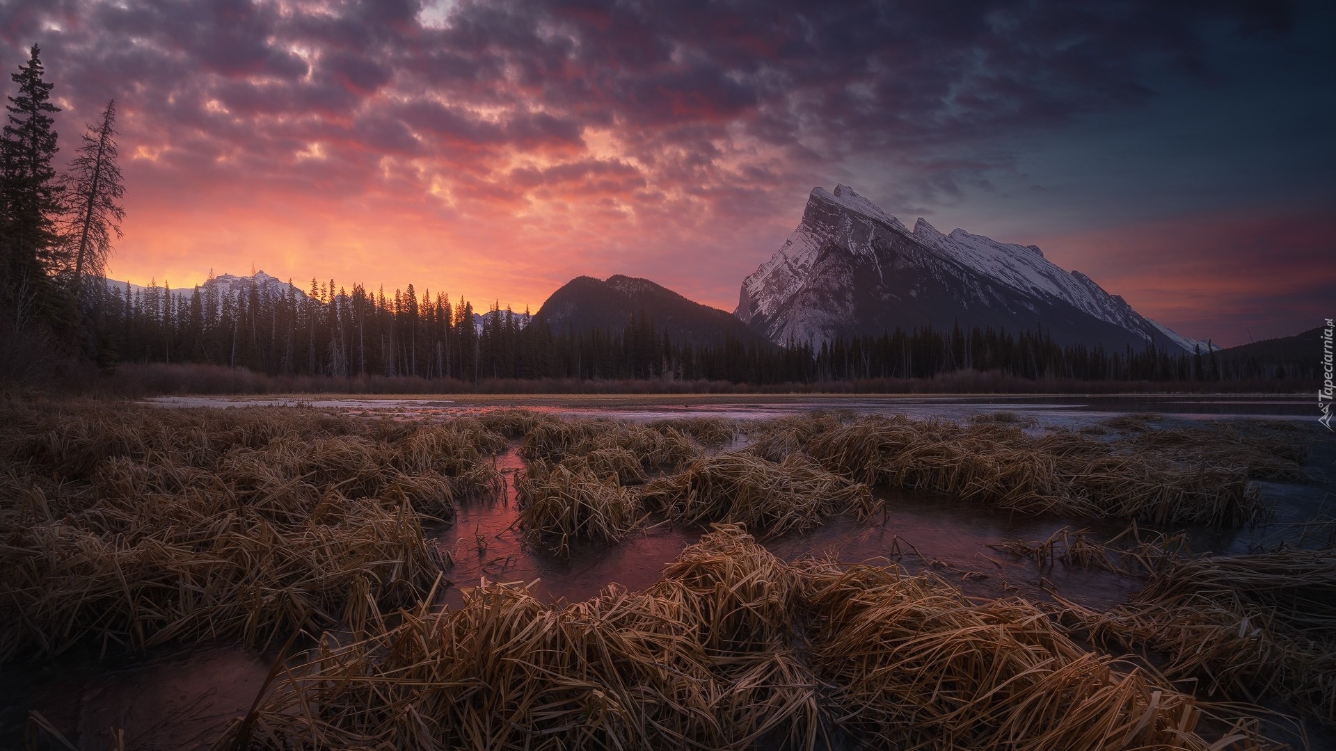 Park Narodowy Banff, Góry, Jezioro, Vermilion Lakes, Drzewa, Zachód słońca, Chmury, Alberta, Kanada