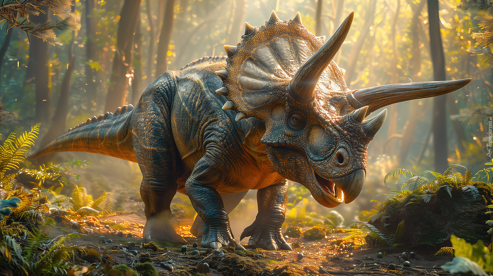 Dinozaur, Triceratops, Grafika