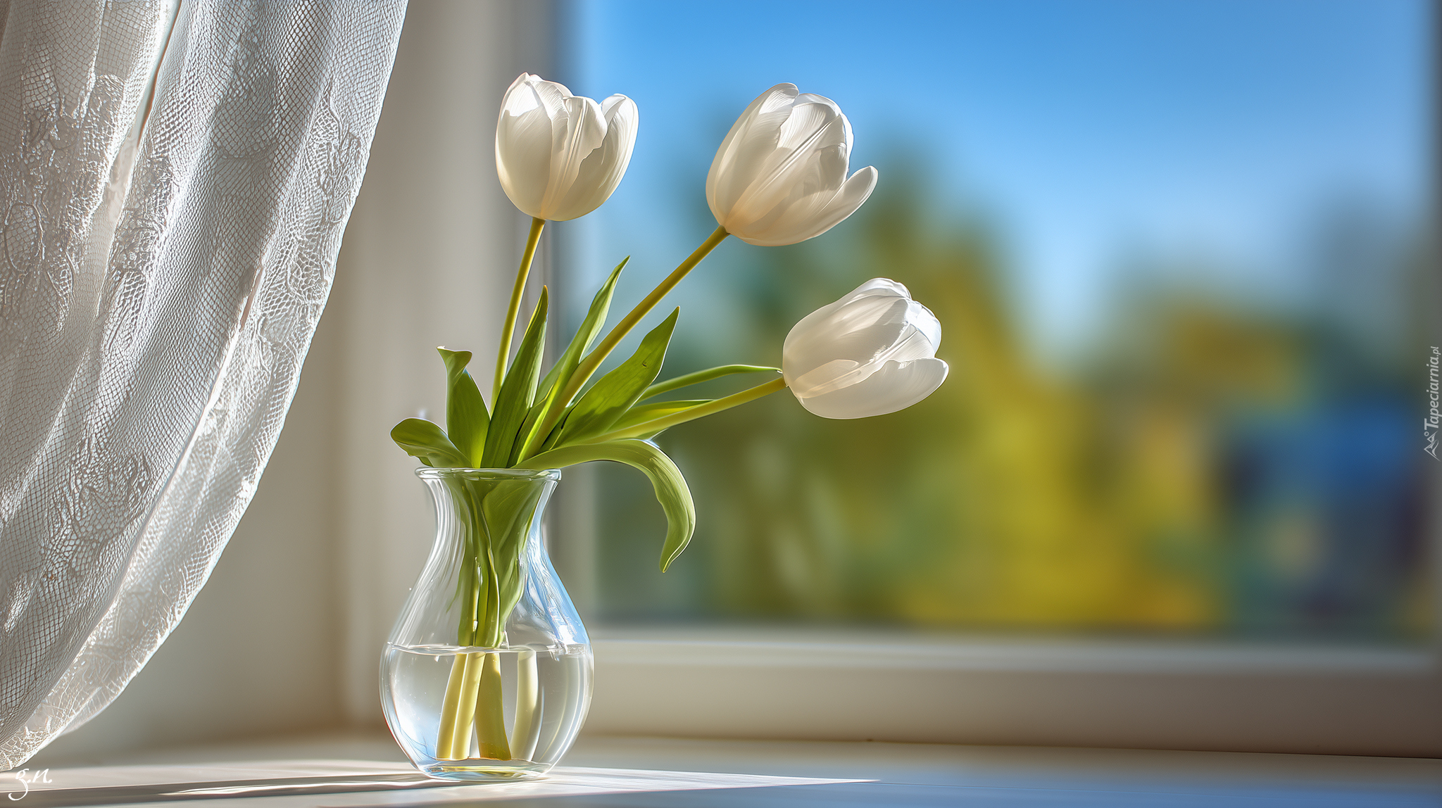 Trzy, Białe, Tulipany, Wazon, Okno, Parapet, Grafika AI
