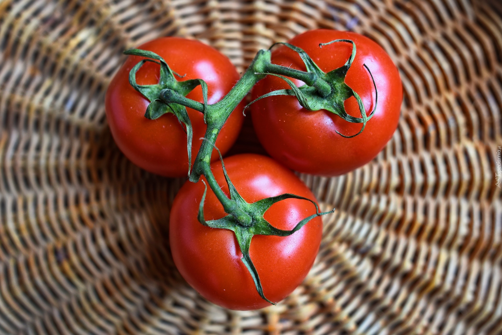 tapeta-trzy-czerwone-pomidory.jpg