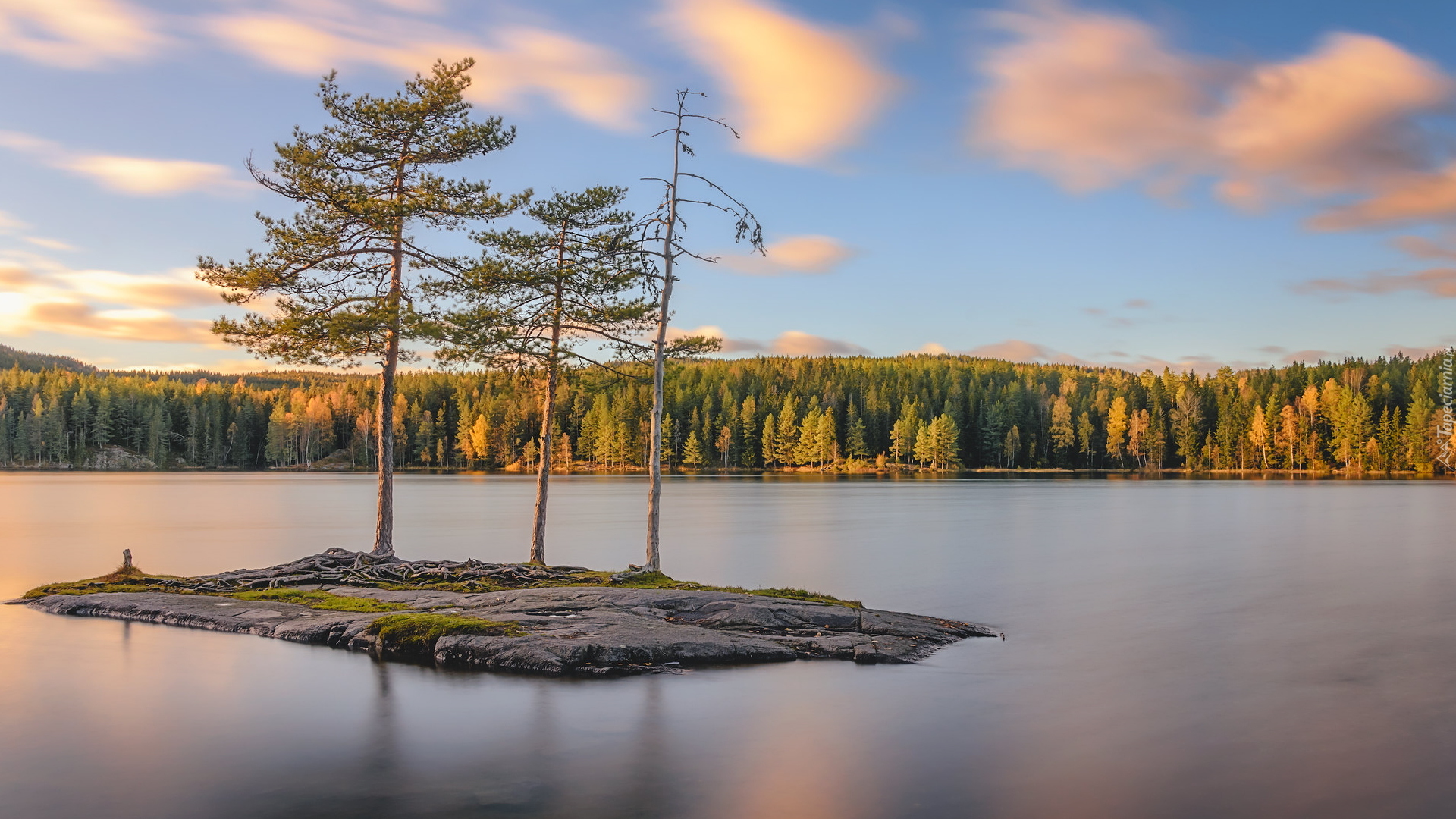 Jezioro, Wysepka, Trzy, Drzewa, Chmury, Gmina Berum, Okręg Akershus, Norwegia