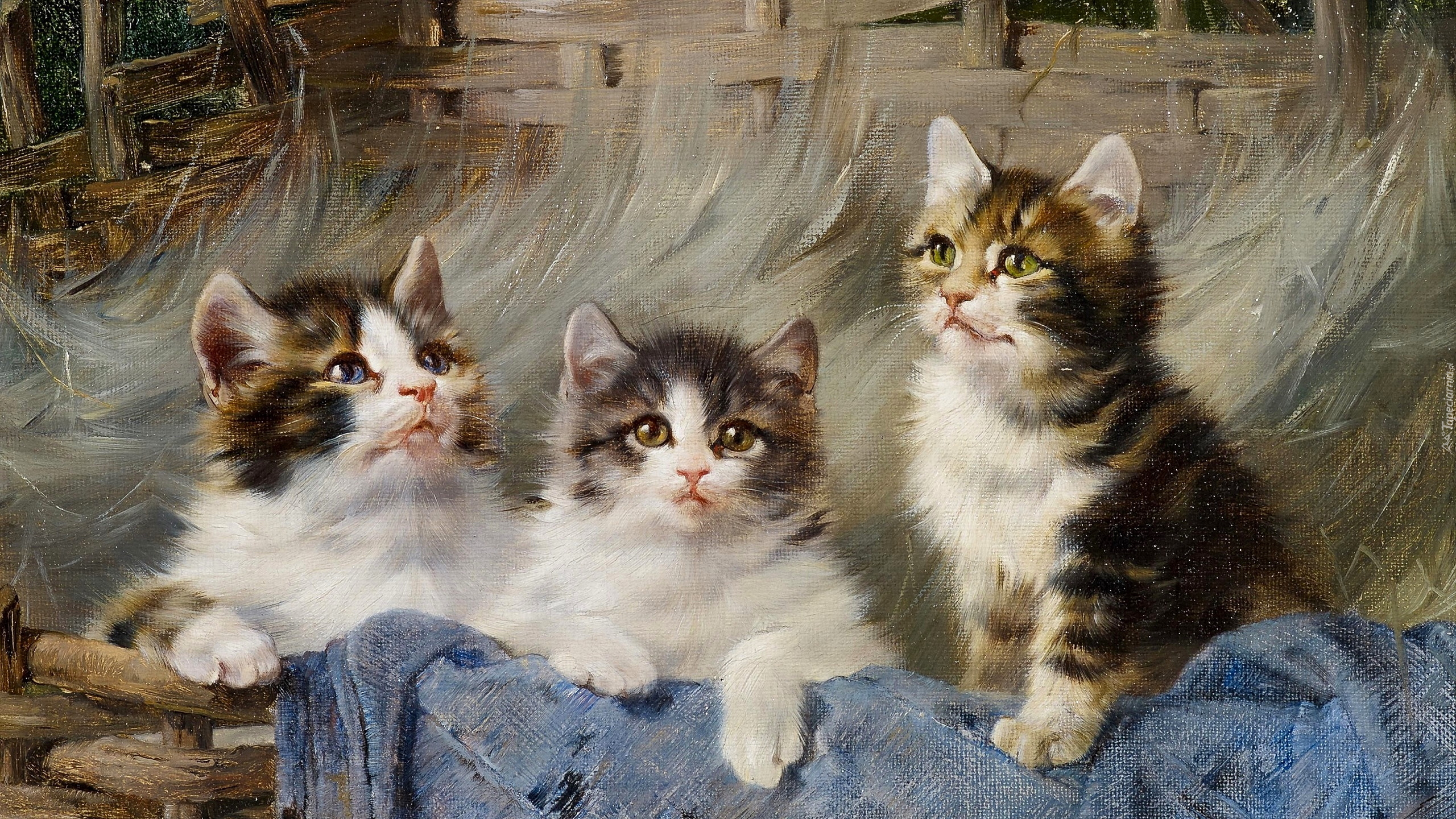Trzy, Koty, Kocięta, Kosz, Malarstwo, Obraz, Julius Adam