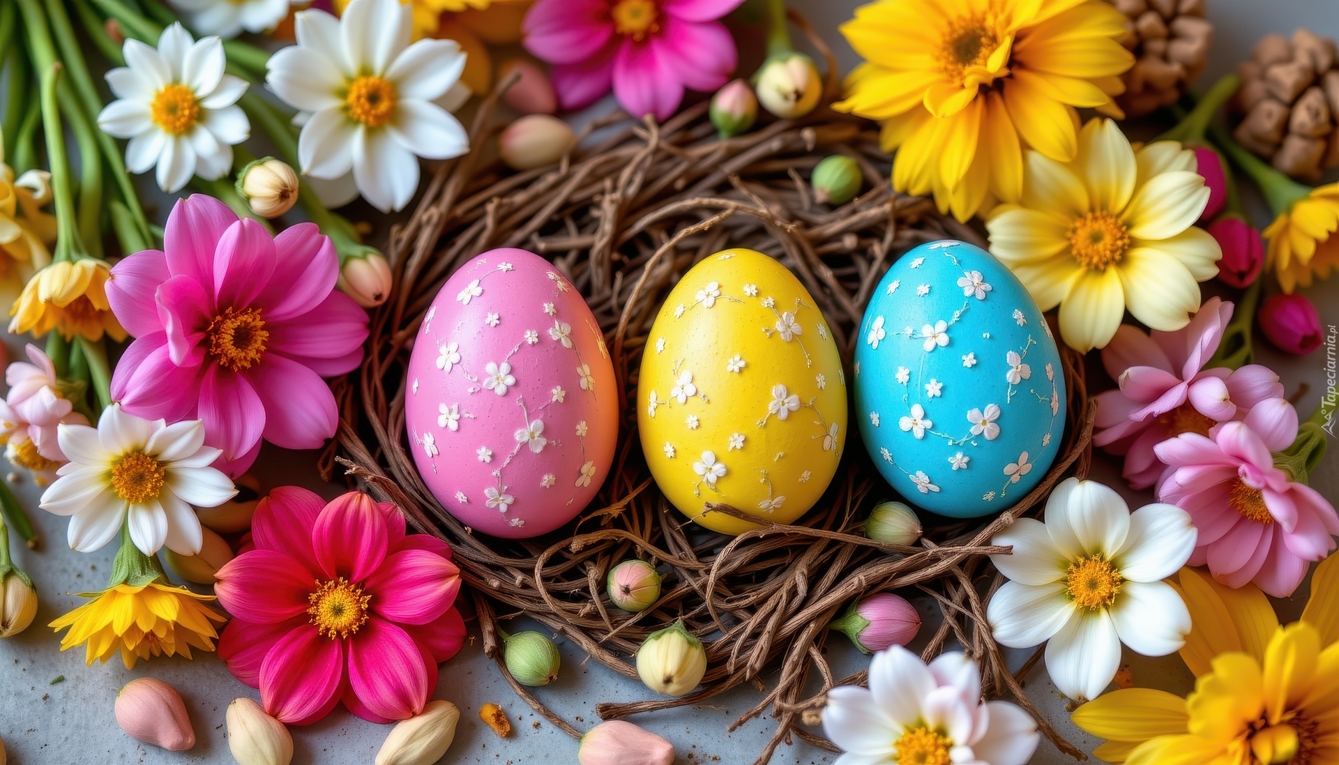 Wielkanoc, Trzy, Pisanki, Gniazdko, Kolorowe, Kwiaty