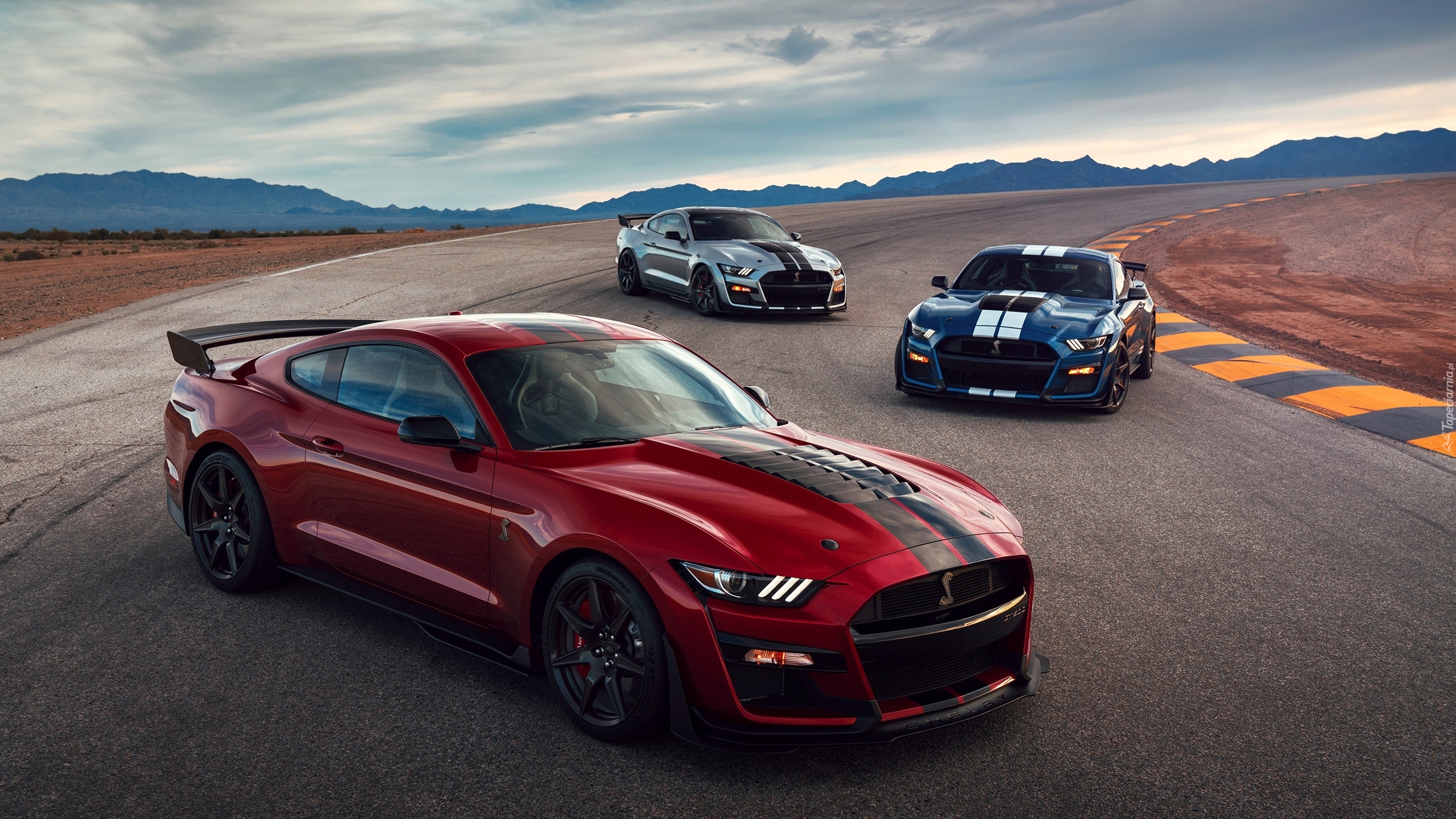 Trzy, Samochody, Ford Mustang Shelby GT500