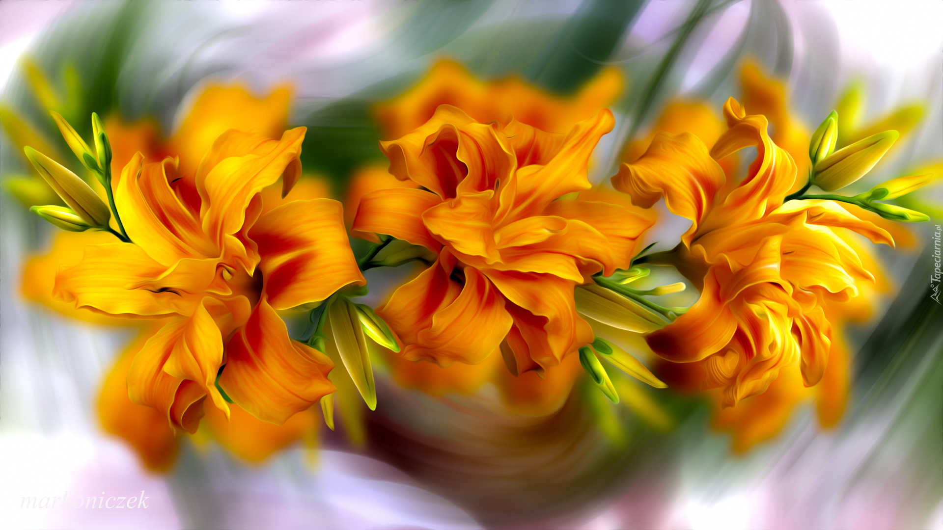 Kwiaty, Pomarańczowe, Lilie, Grafika