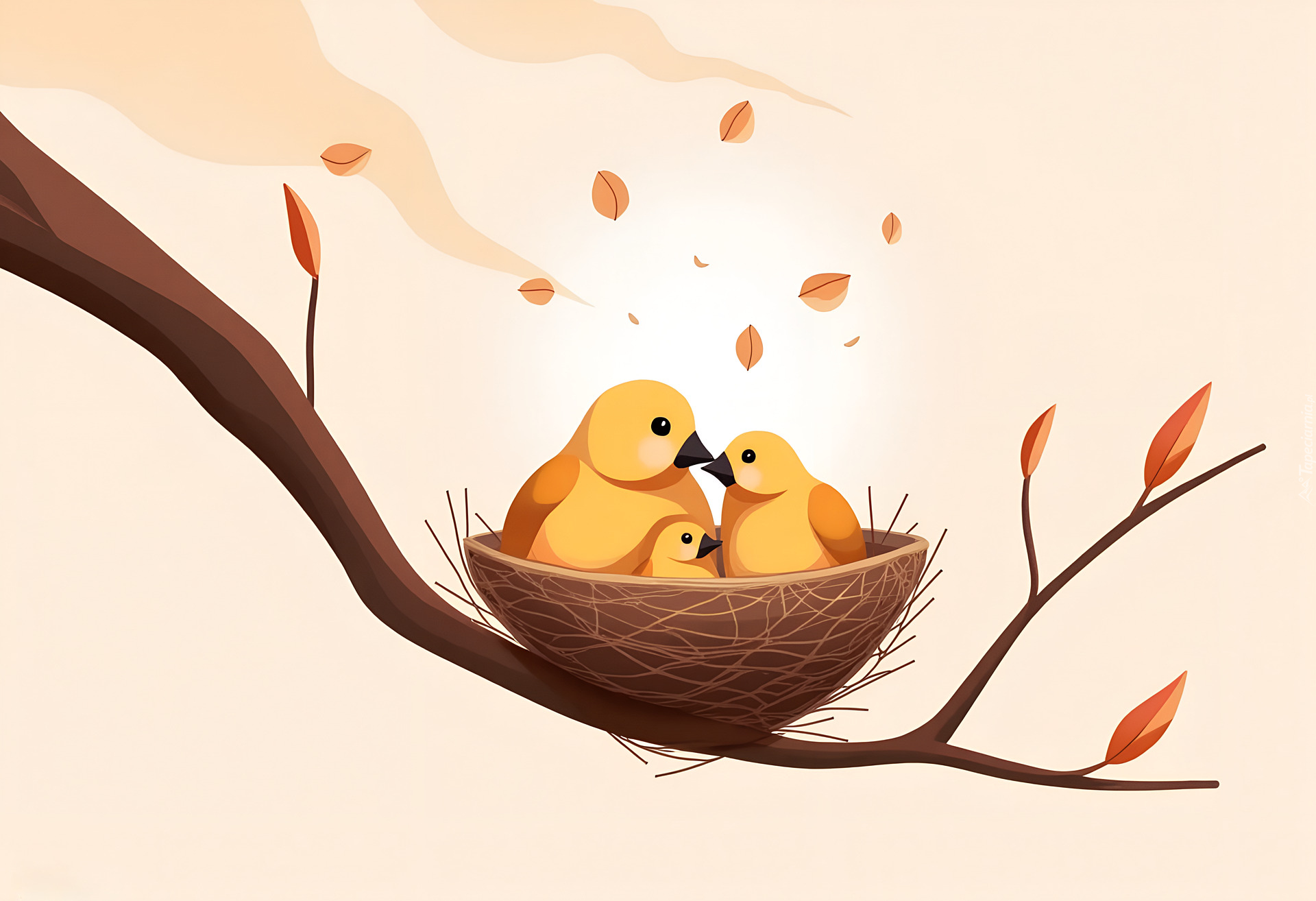 Trzy, Ptaki, Gniazdko, Gałąź