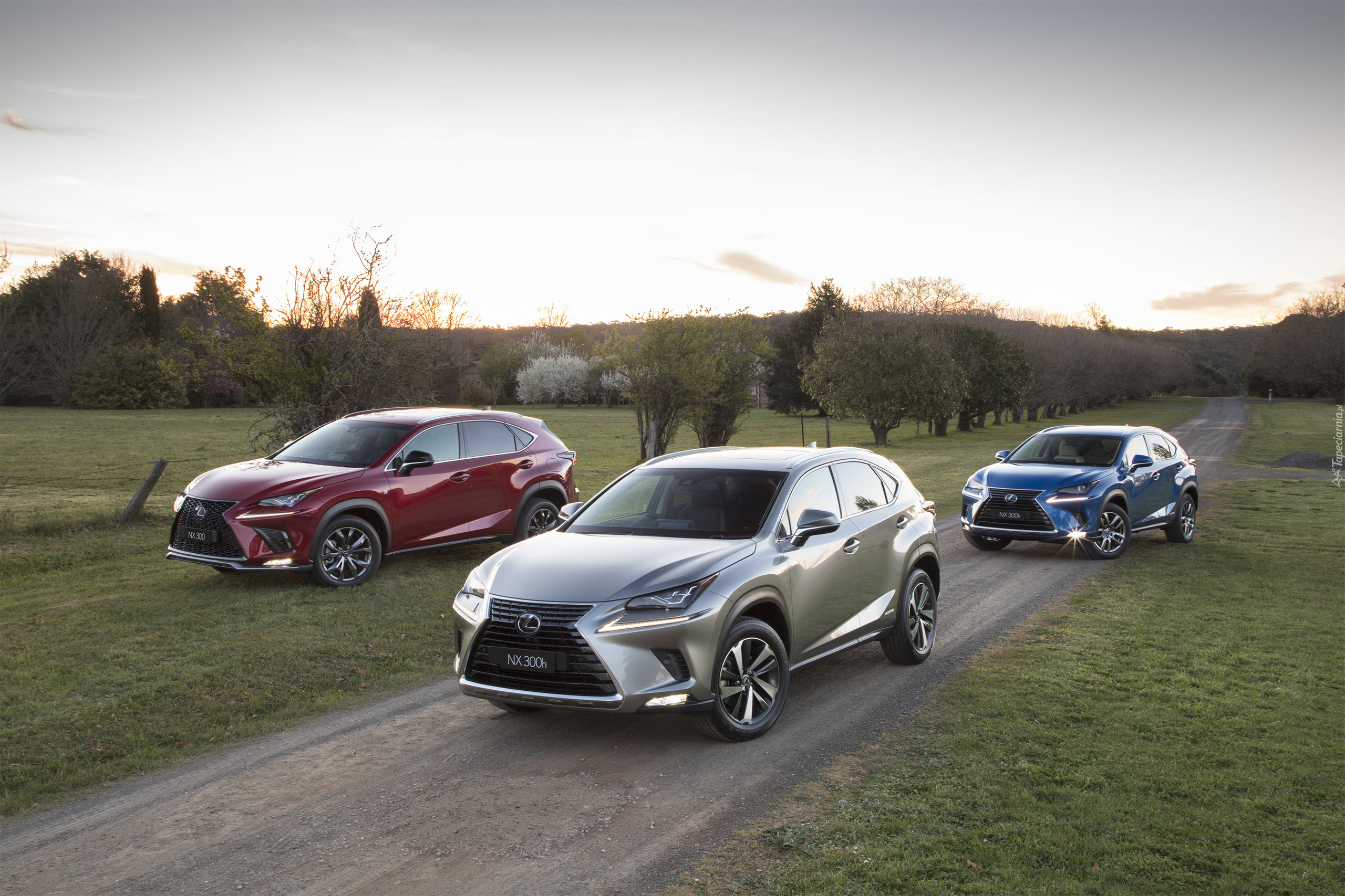 Trzy, Samochody, Lexus NX