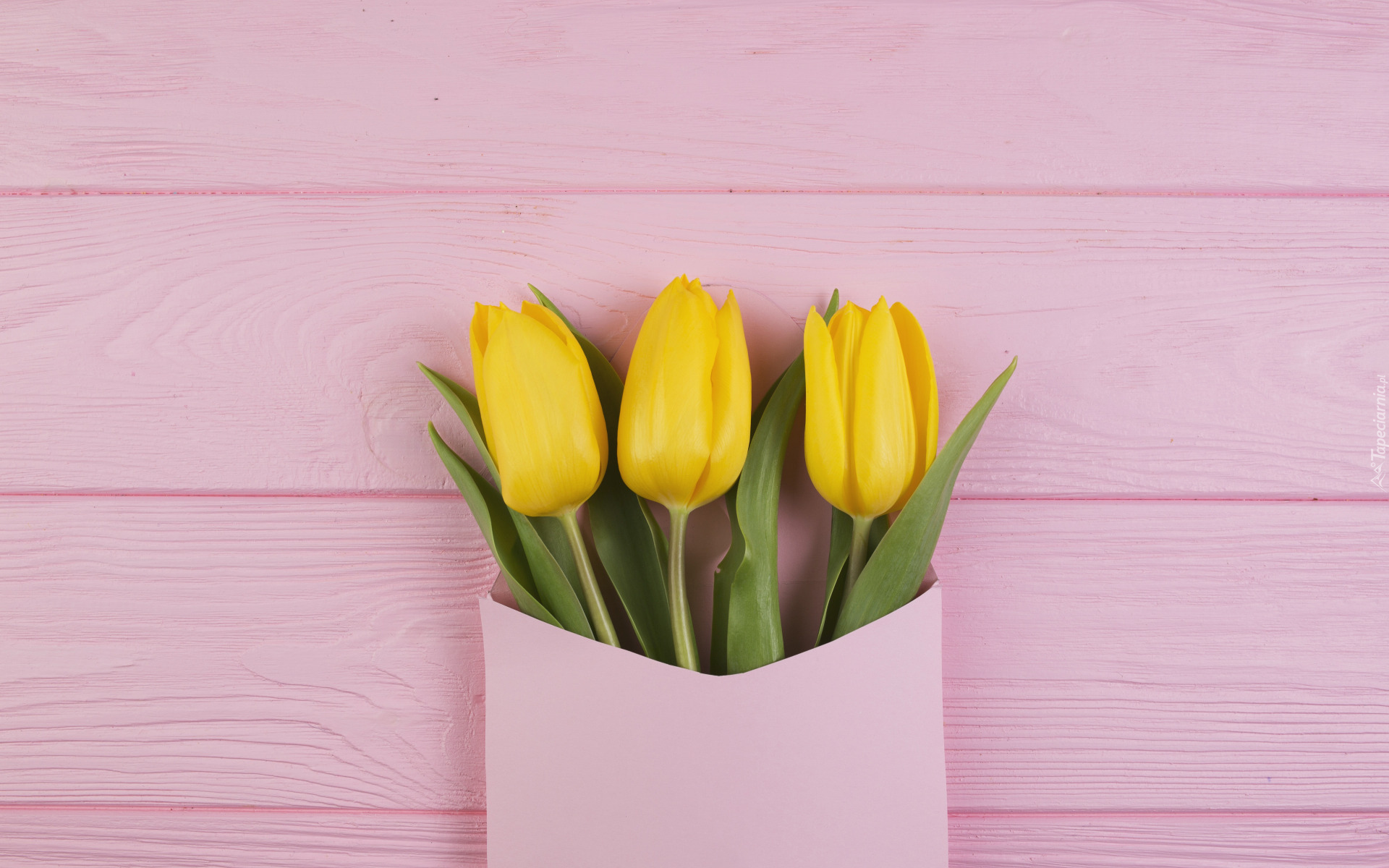 Kwiaty, Żółte, Tulipany, Koperta, Tło, Różowe, Deski