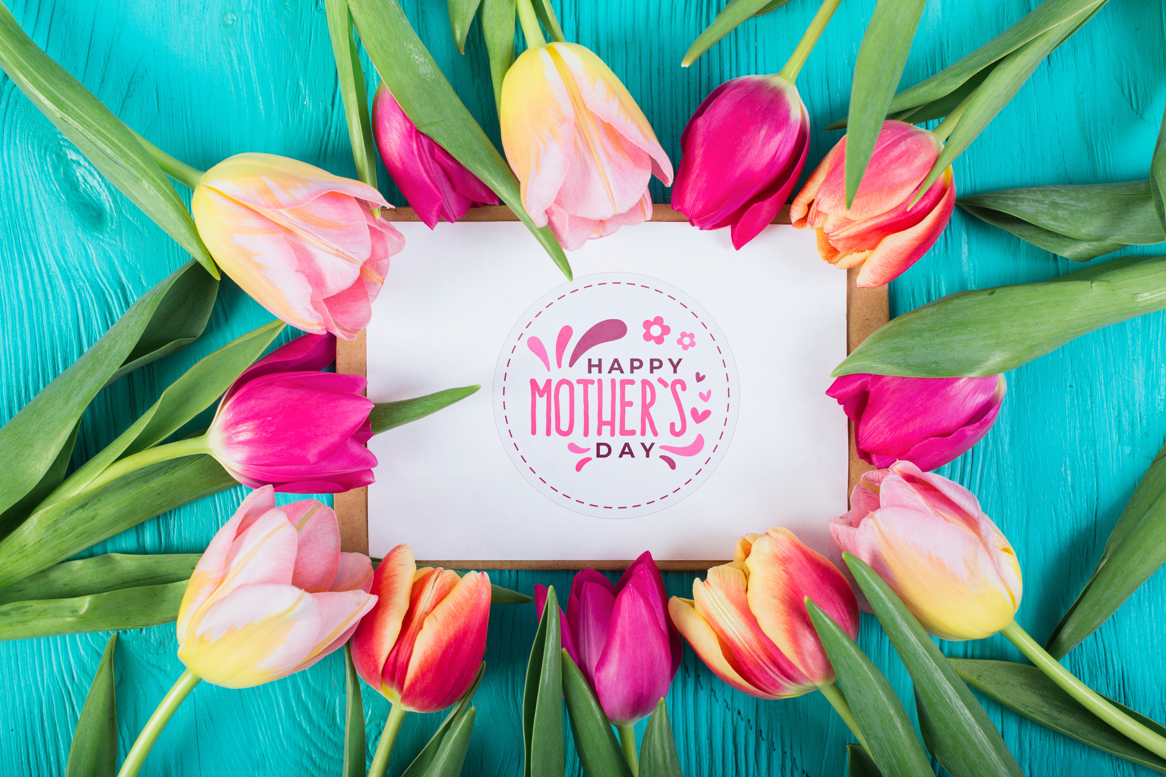 Kwiaty, Tulipany, Dzień Matki