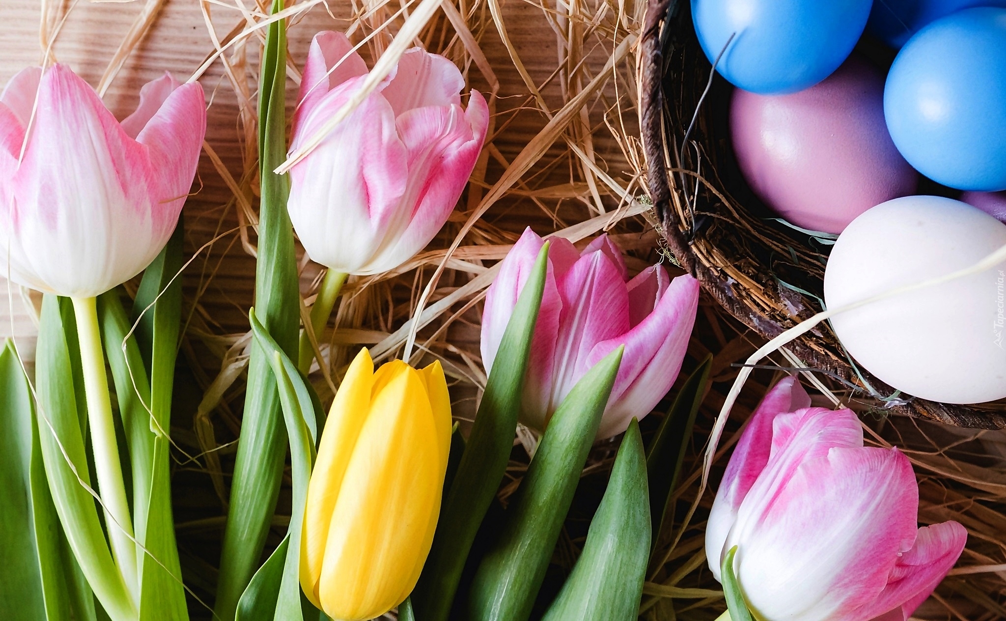 Różowe, Żółte, Tulipany, Pisanki, Wielkanoc