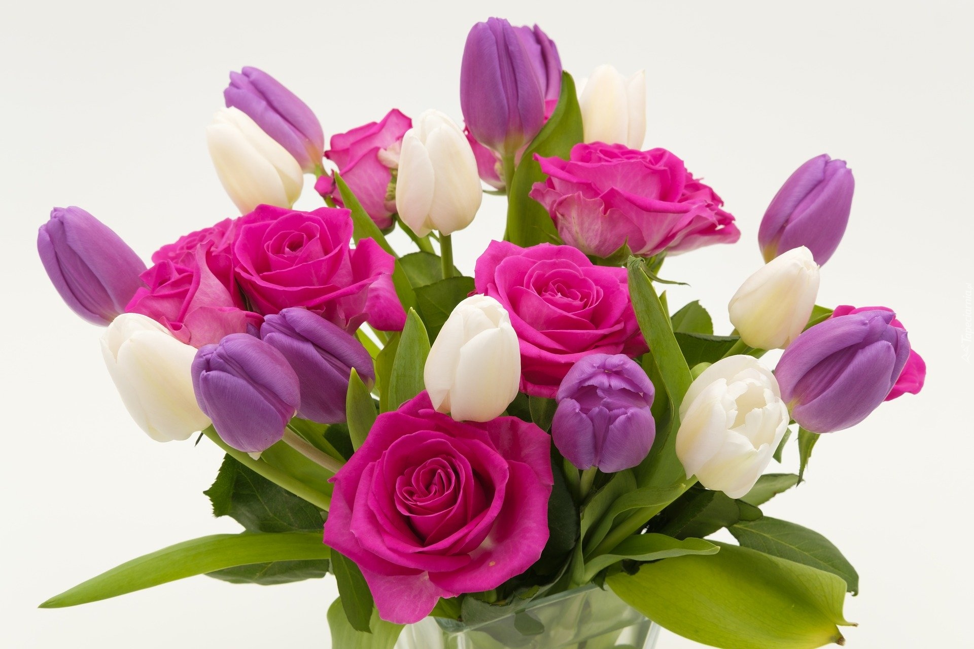 Bukiet, Kwiaty, Tulipany, Fioletowe, Białe, Róże, Różowe, Liście