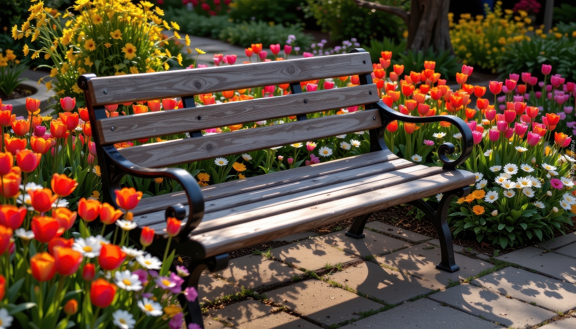 Ogród, Ławka, Kwiaty, Tulipany, Stokrotki