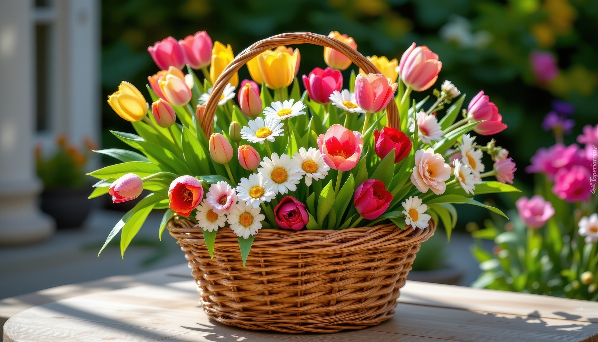Stokrotki, Tulipany, Żółte, Różowe, Bukiet, Wiklinowy, Koszyk