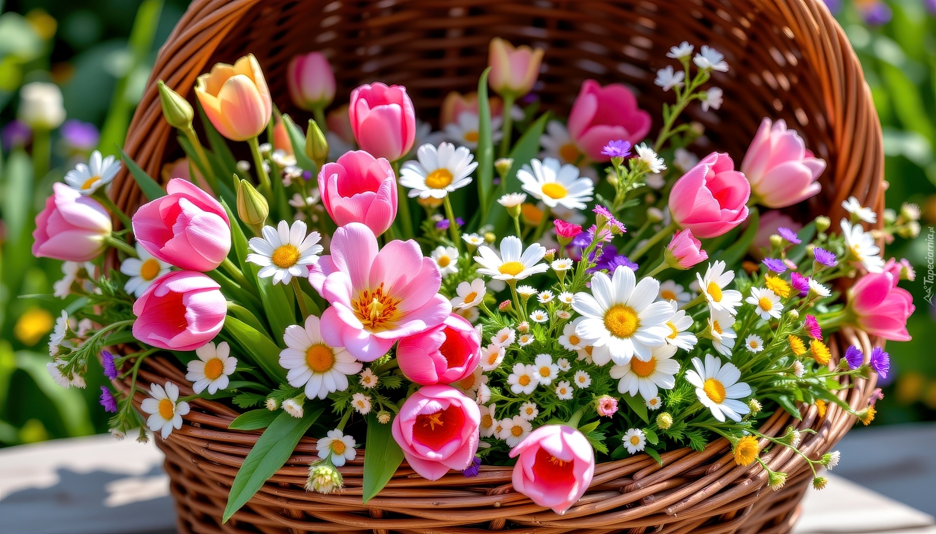 Kwiaty, Tulipany, Stokrotki, Wiosenny, Bukiet, Koszyk, Grafika AI