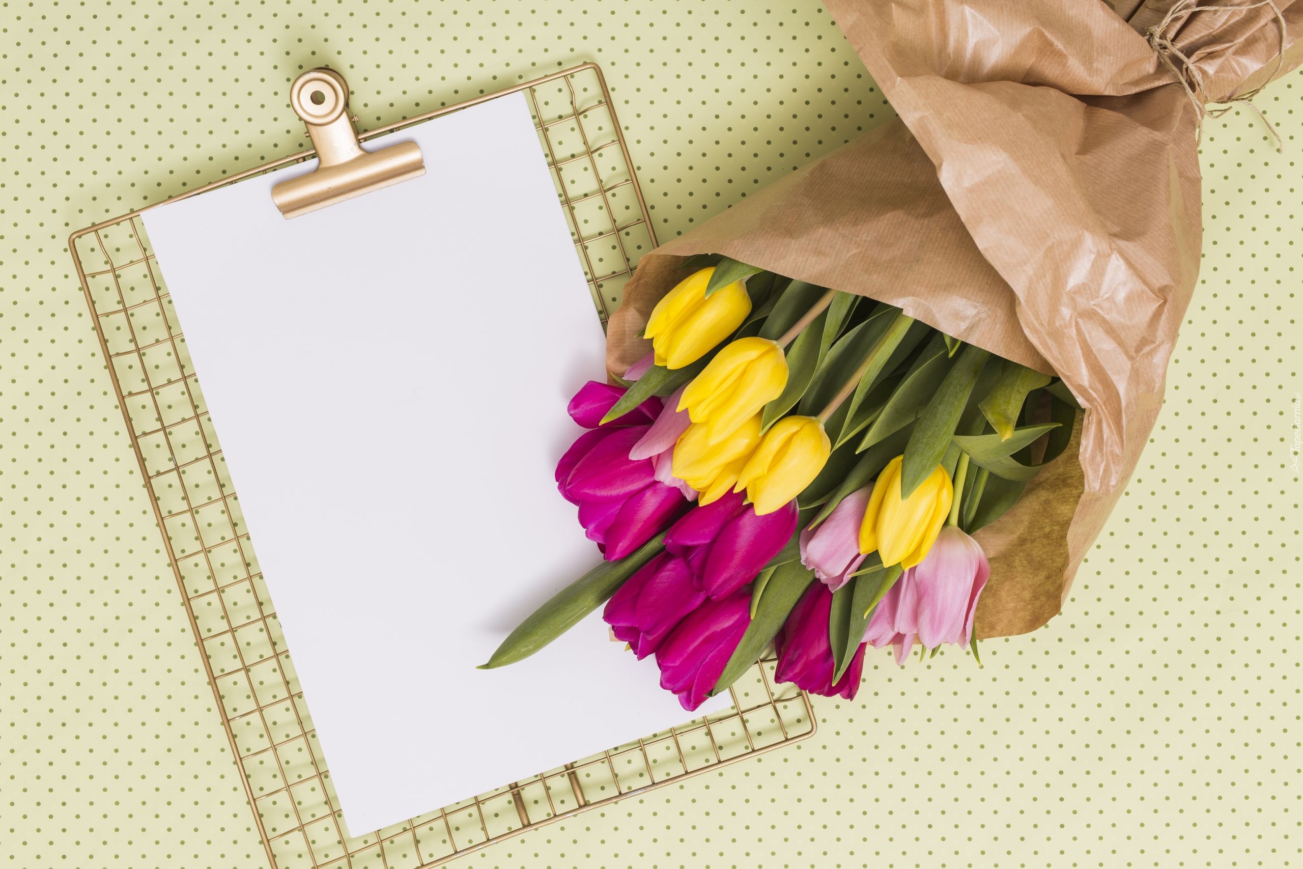 Kwiaty, Kolorowe, Tulipany, Papier, Kartka