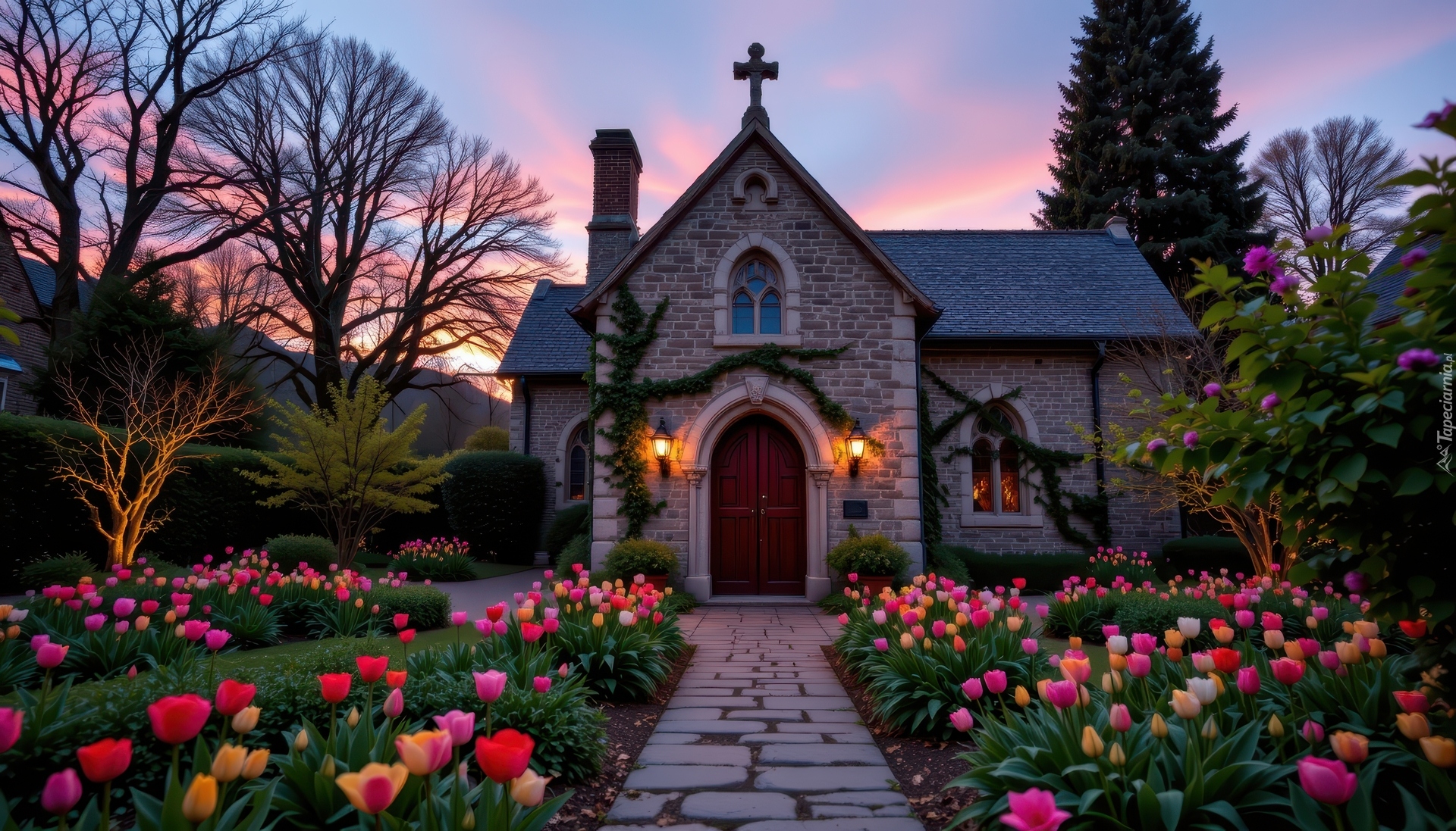 Kościół, Tulipany, Ścieżka, Drzewa