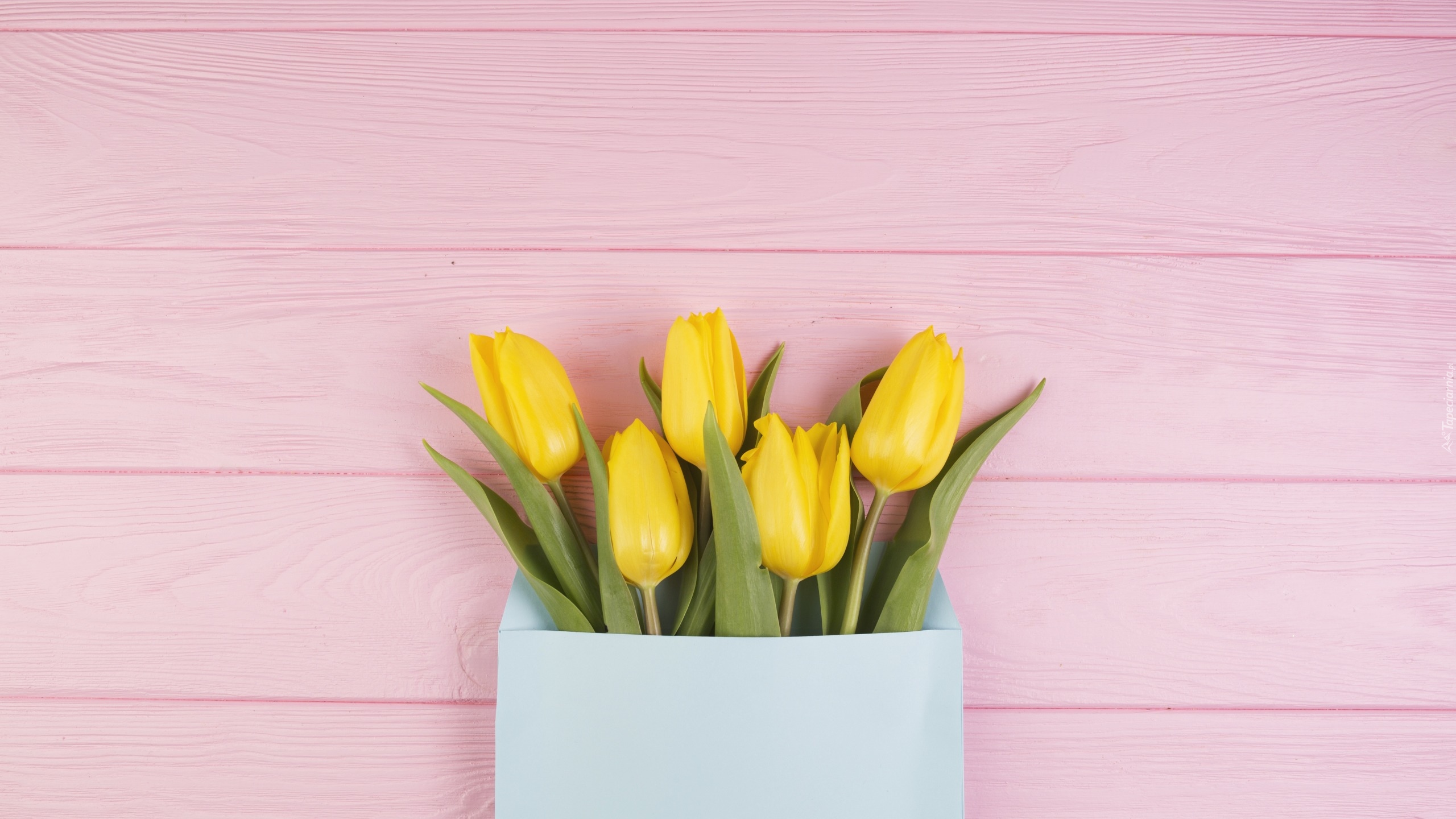 Żółte, Tulipany, Różowe, Deski, Papierowa, Torba