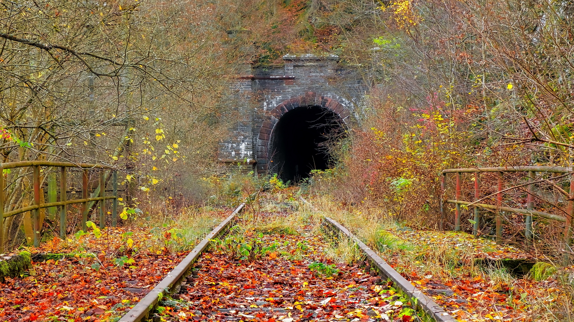 Tory kolejowe, Barierki, Liście, Drzewa, Krzewy, Tunel