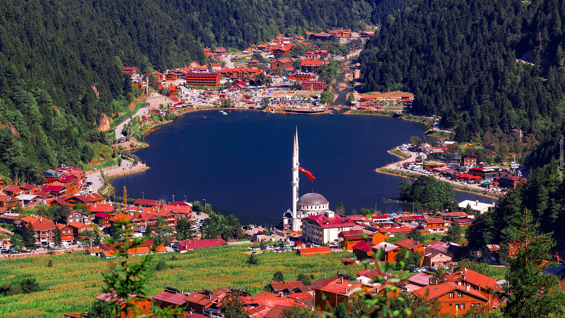 Turcja, Prowincja Trabzon, Caykara, Jezioro, Domy, Meczet, Drzewa, Lasy