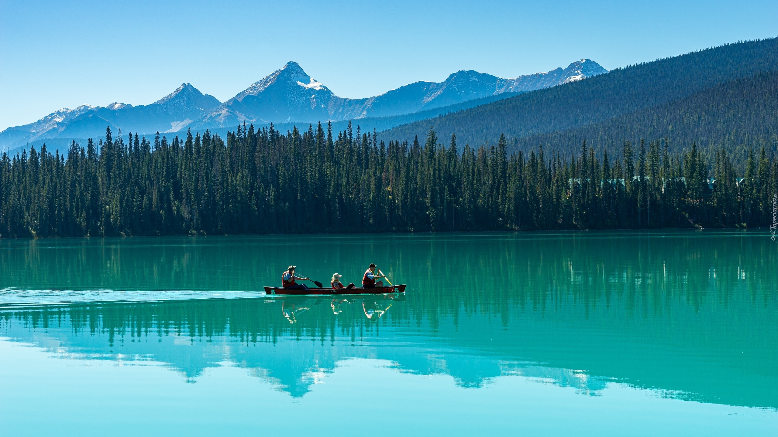 Kanada, Kolumbia Brytyjska, Jezioro, Emerald Lake, Park Narodowy Yoho, Kajak, Las, Drzewa, Góry